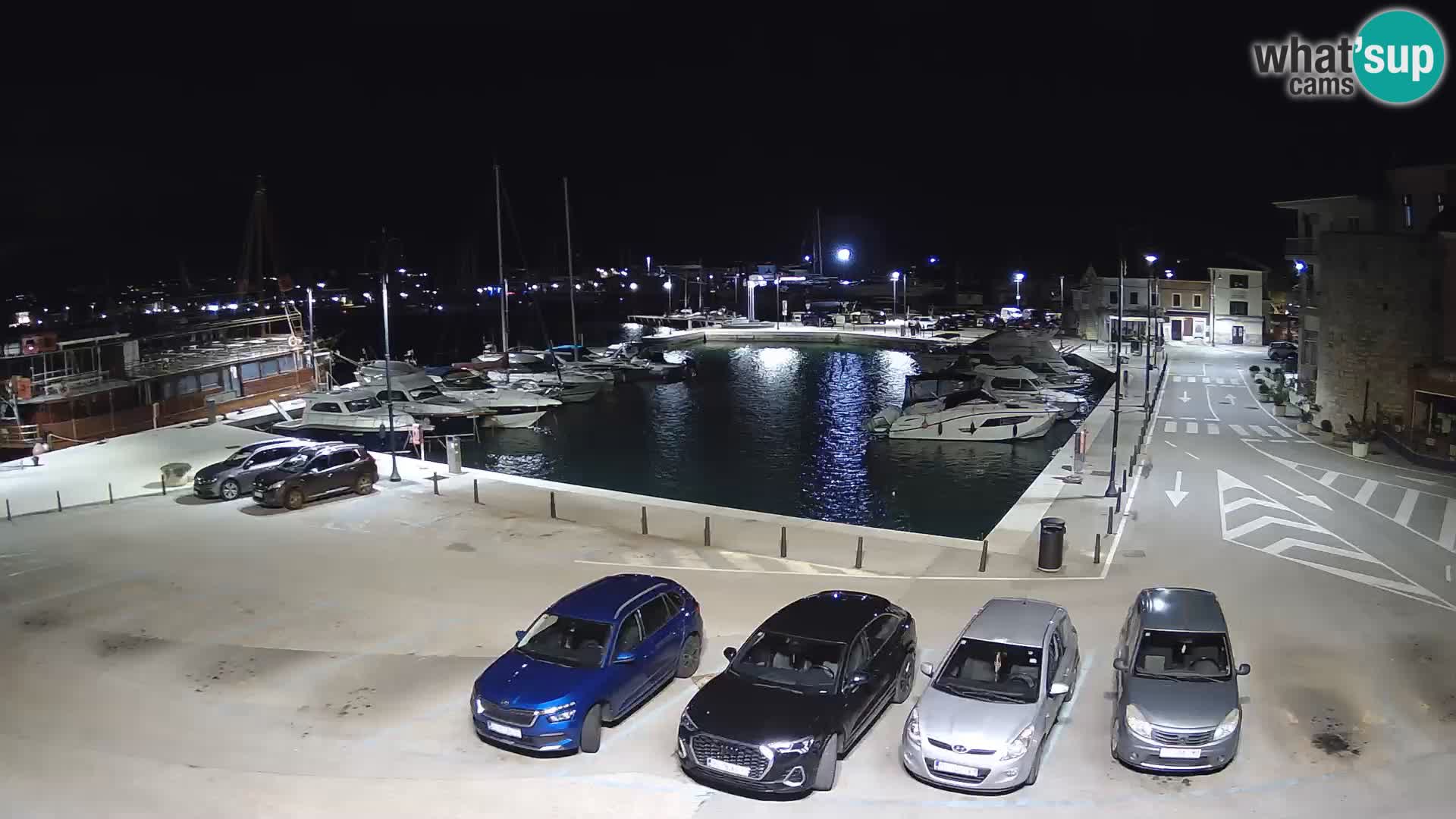 Novigrad | Porporela marina