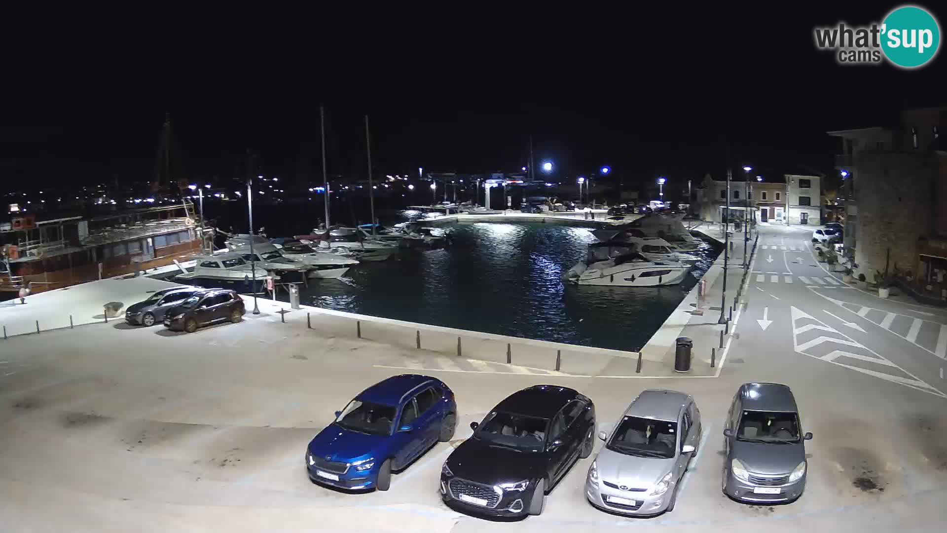 Novigrad | Porporela marina