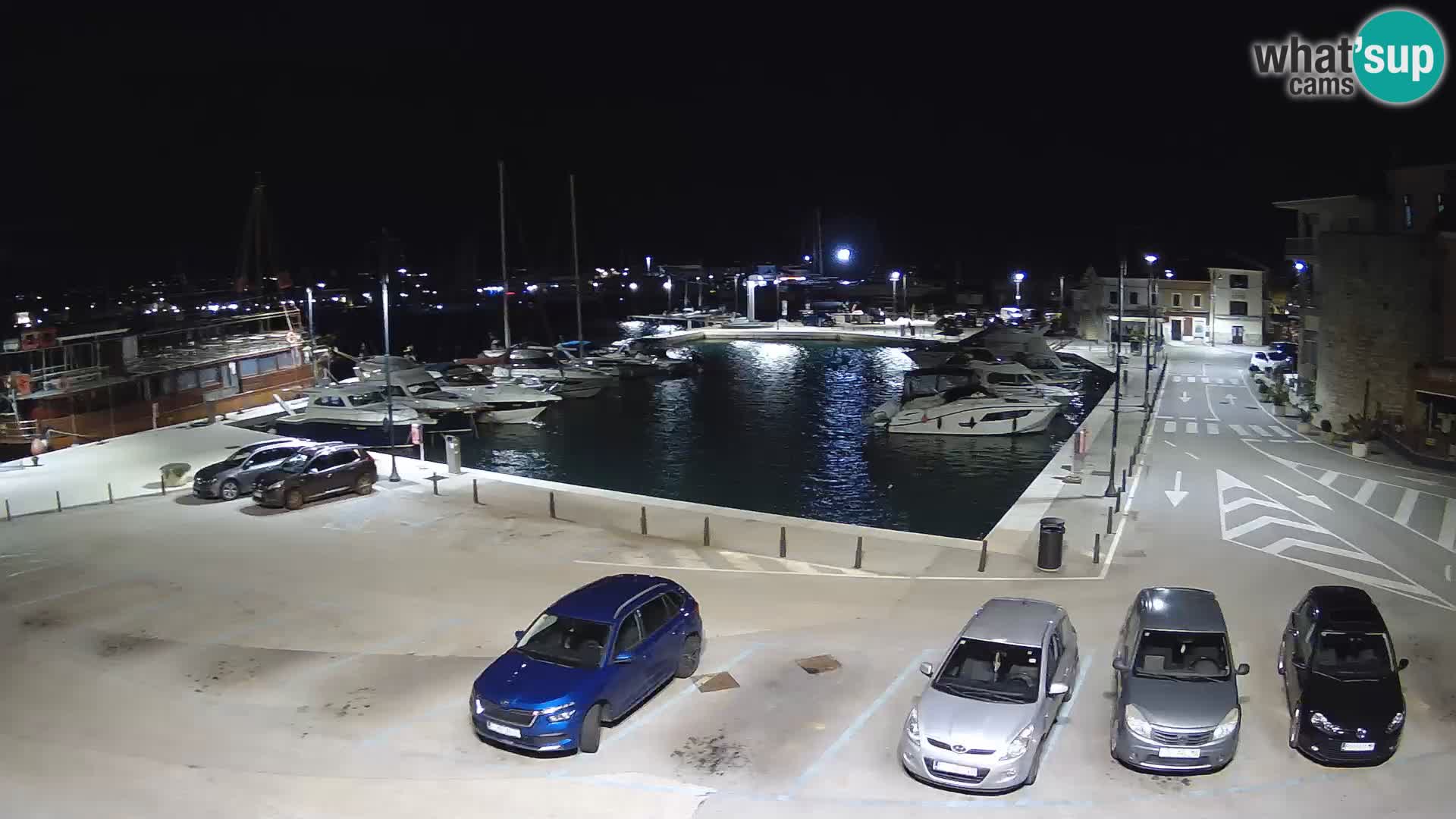 Novigrad | Porporela marina