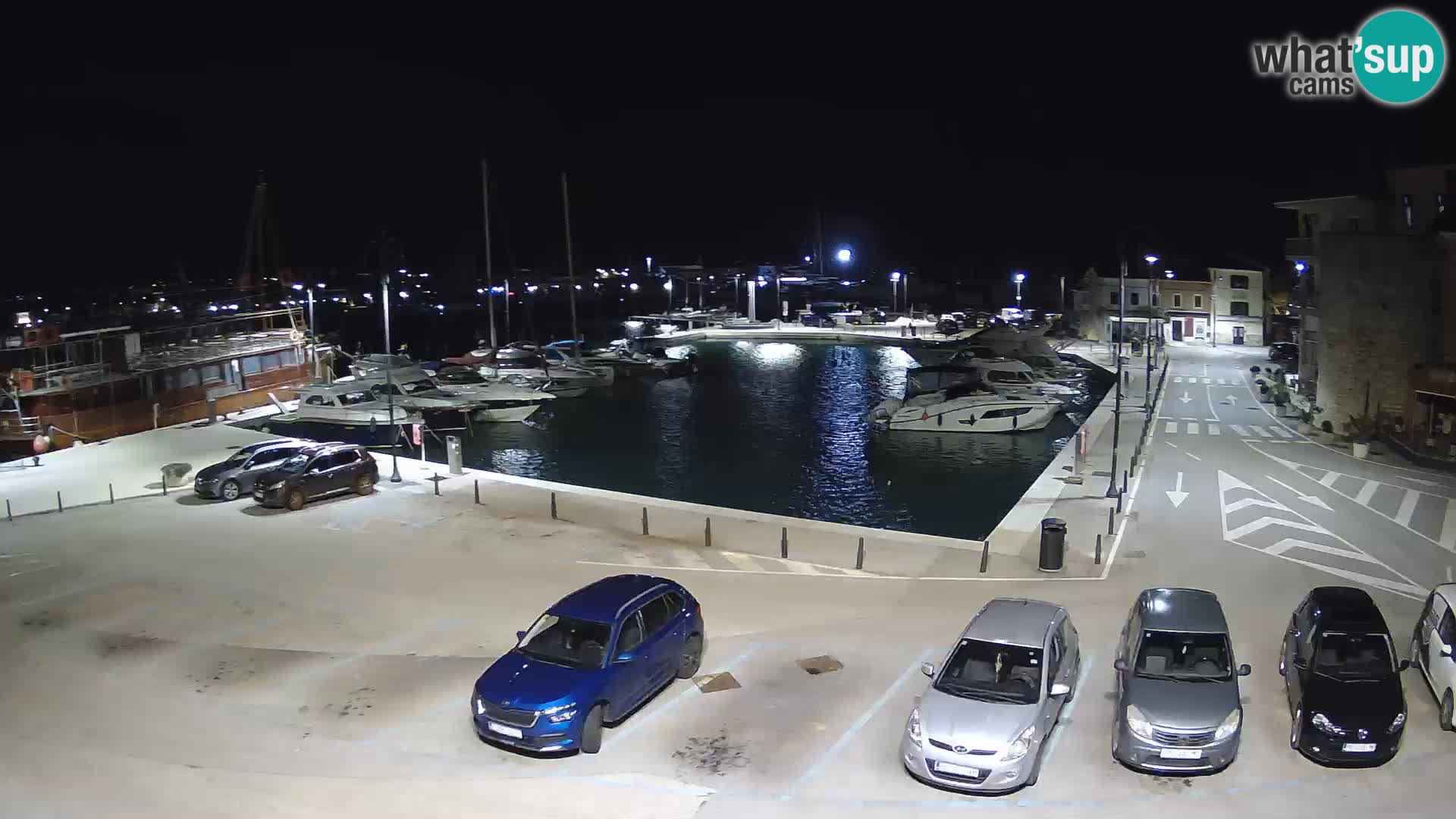 Novigrad | Porporela marina