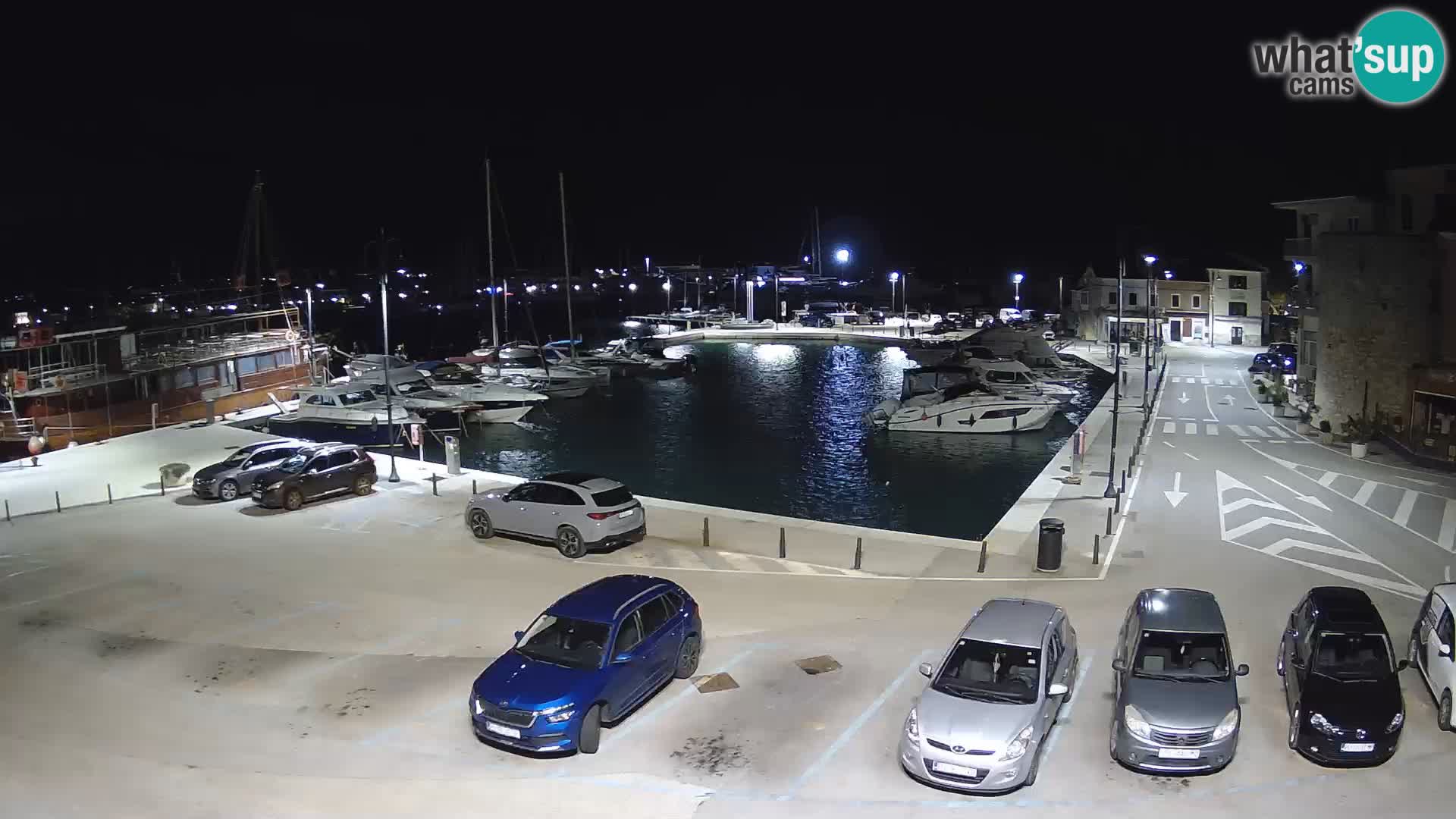 Novigrad | Porporela marina