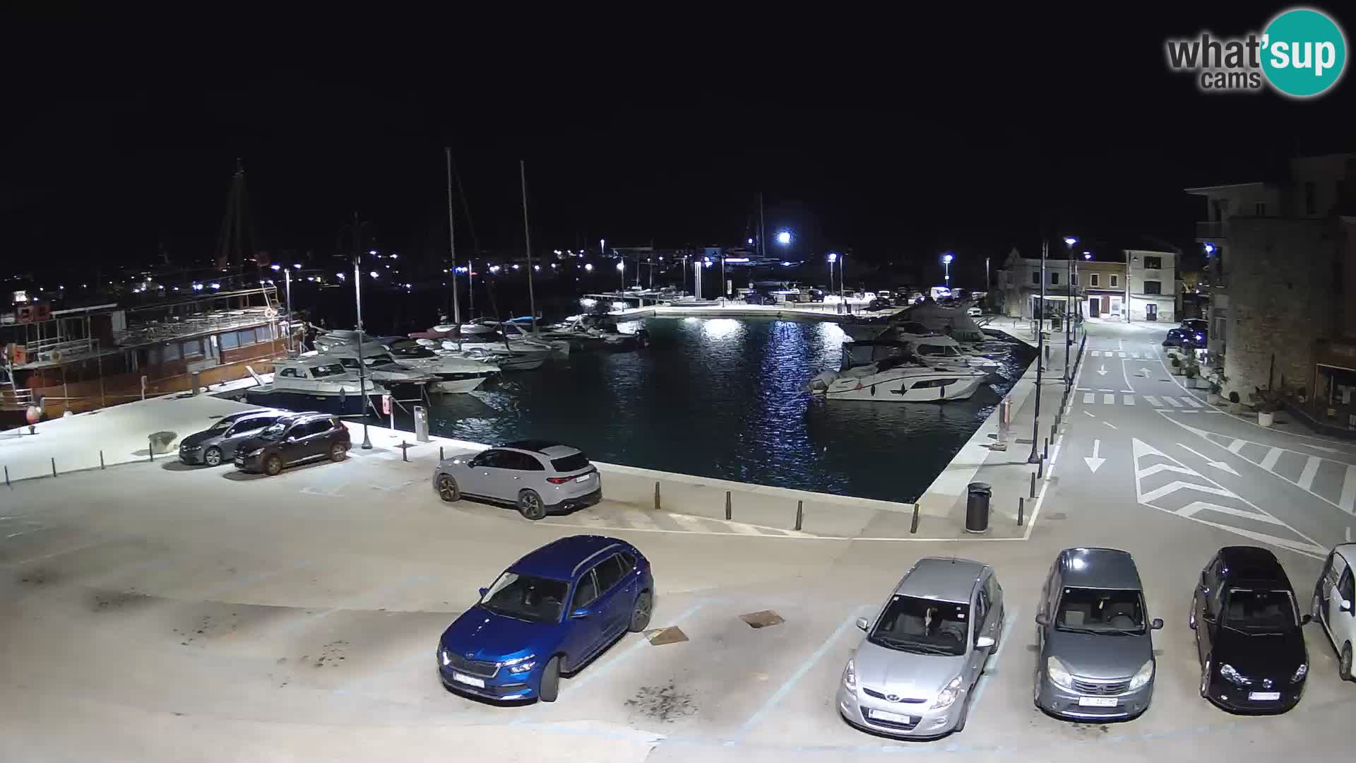 Novigrad | Porporela marina