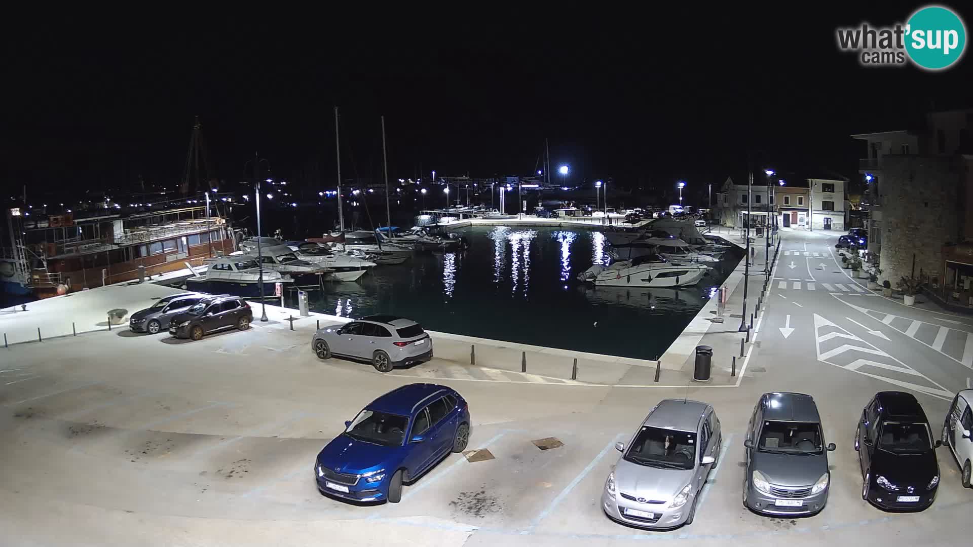 Novigrad | Porporela marina