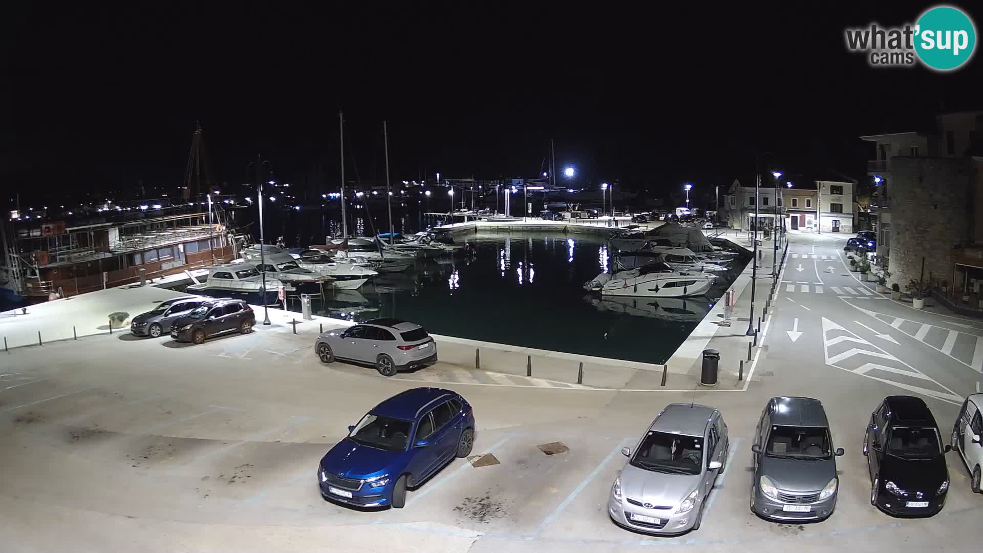 Novigrad | Porporela marina