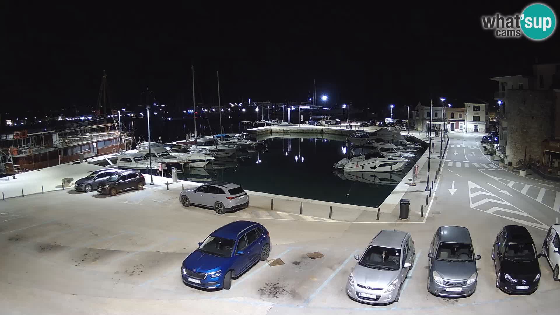 Novigrad | Porporela marina