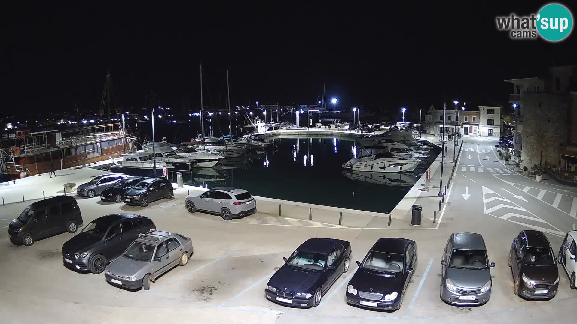 Novigrad | Porporela marina