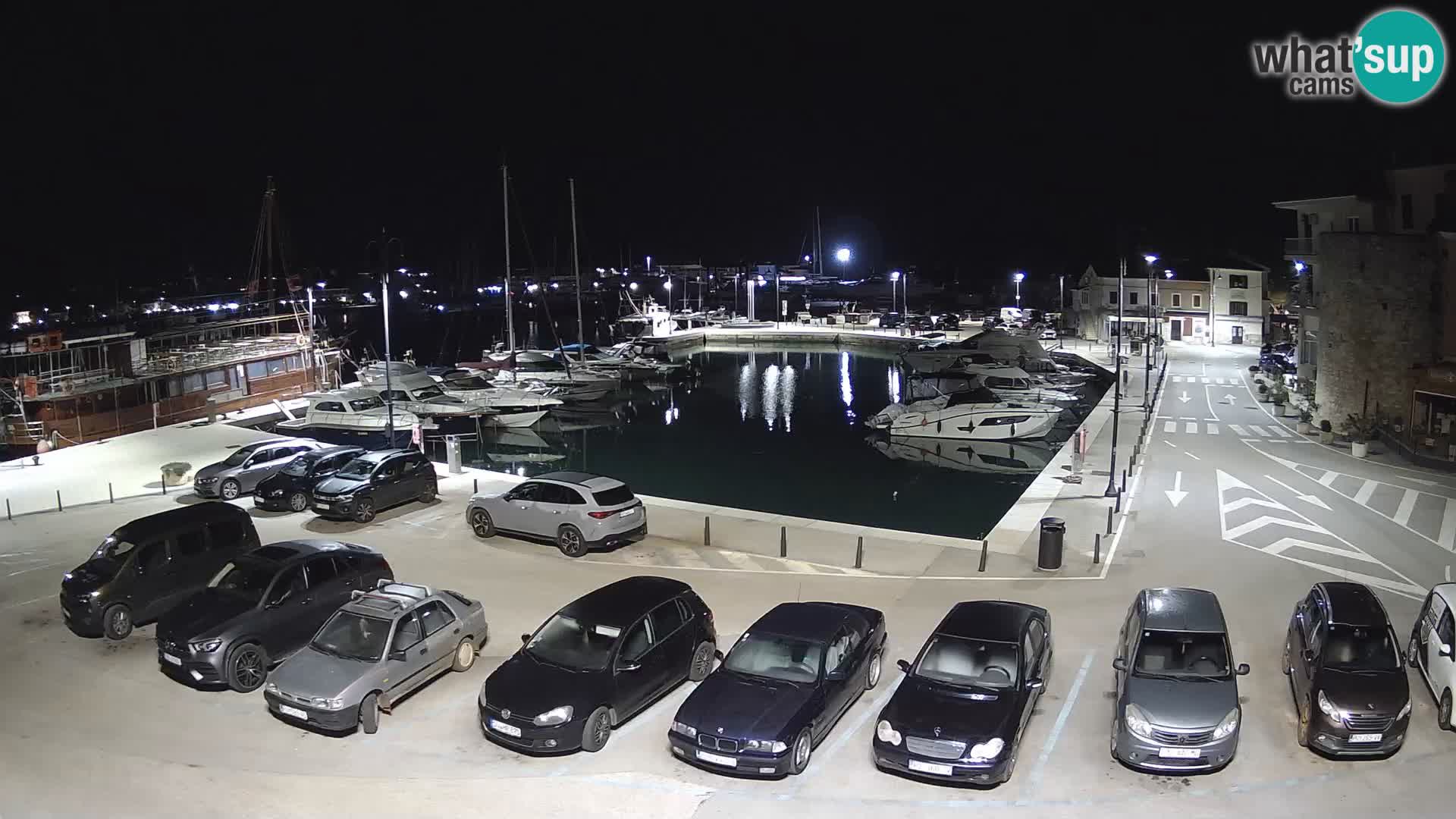 Novigrad | Porporela marina
