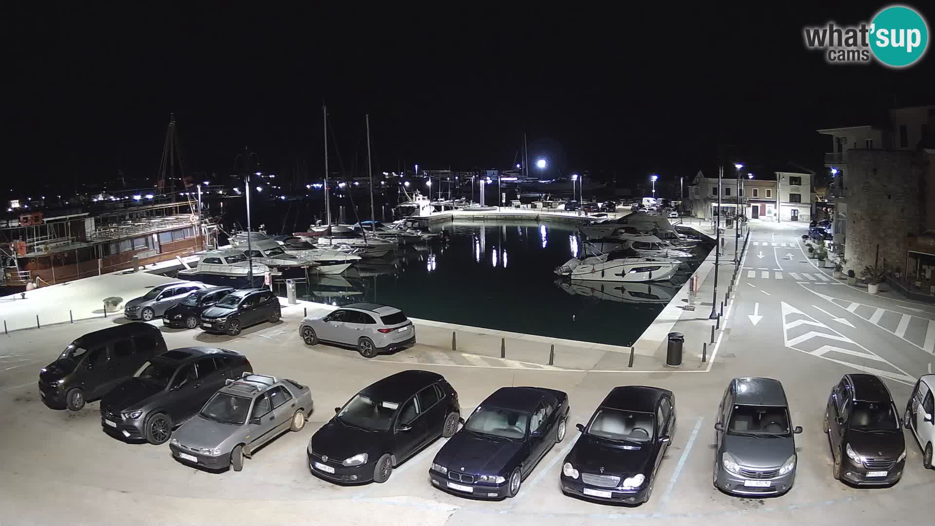 Novigrad | Porporela marina