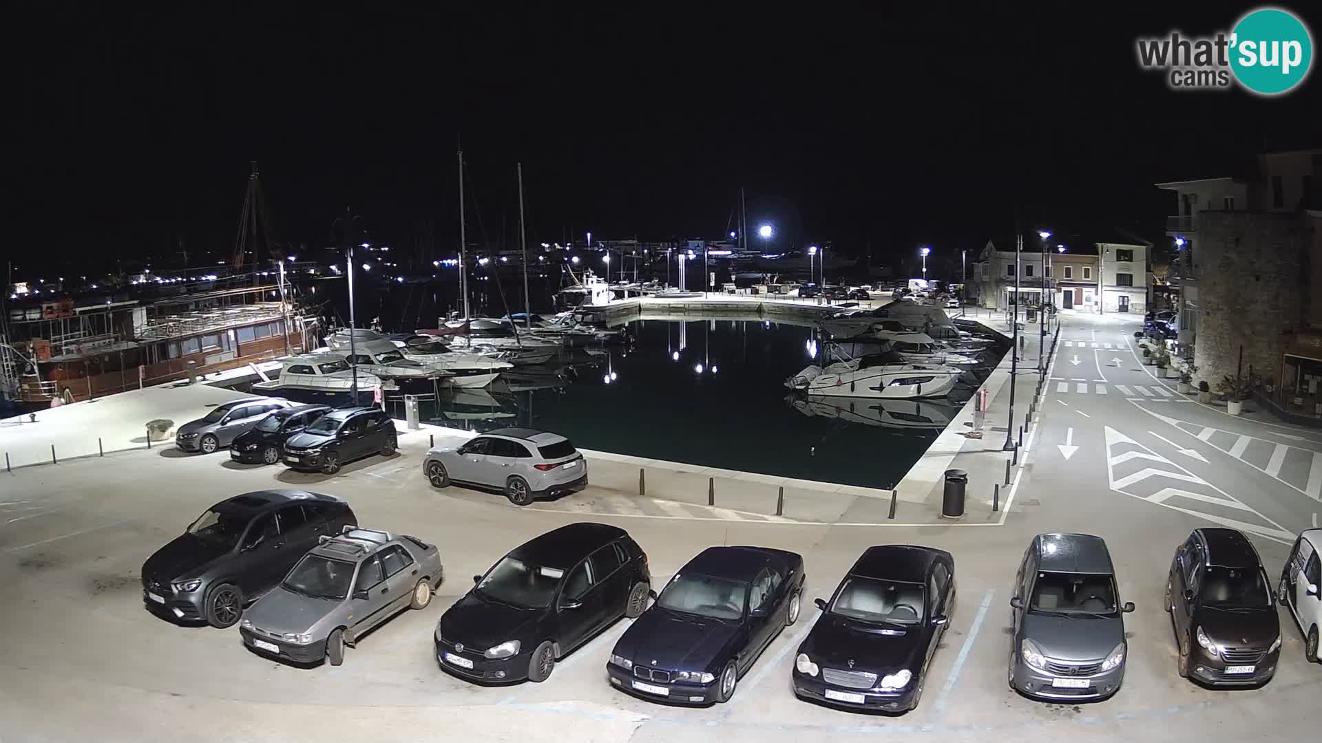 Novigrad | Porporela marina