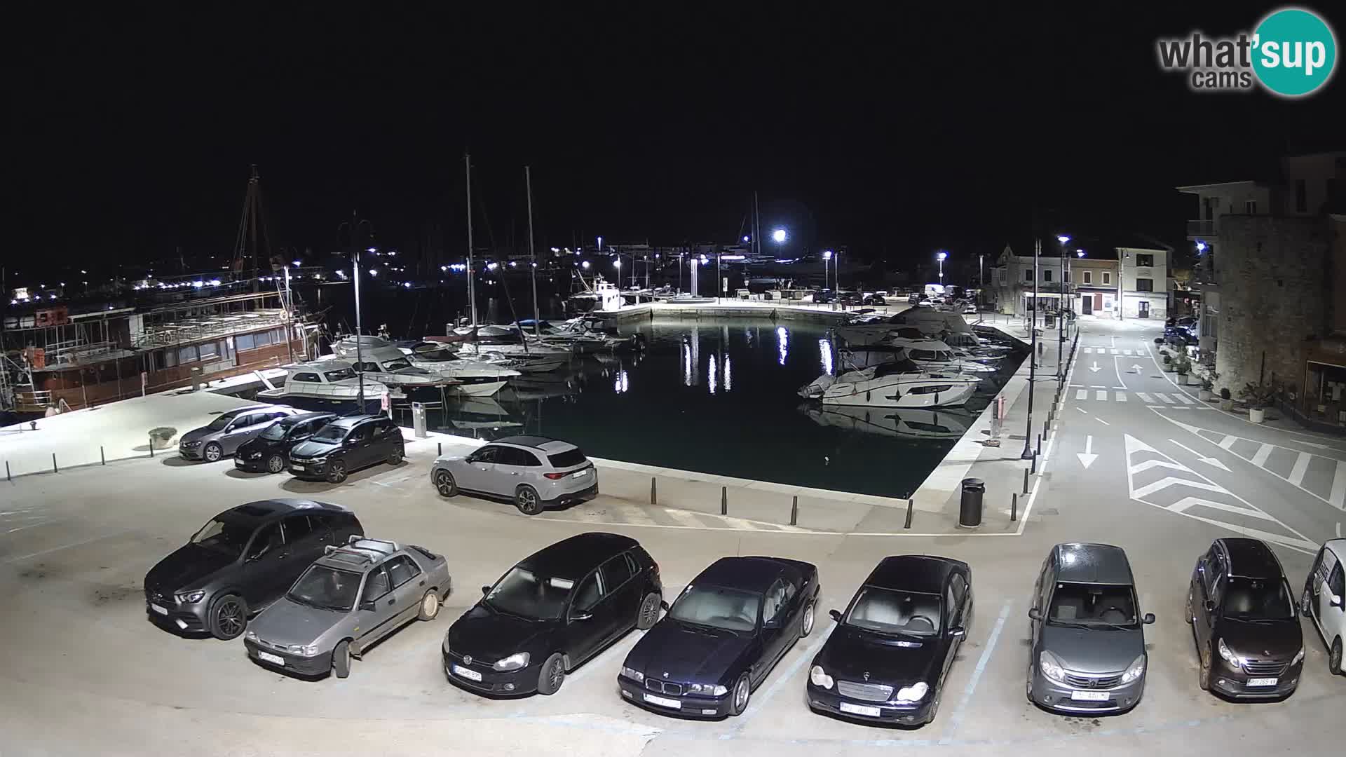 Novigrad | Porporela marina