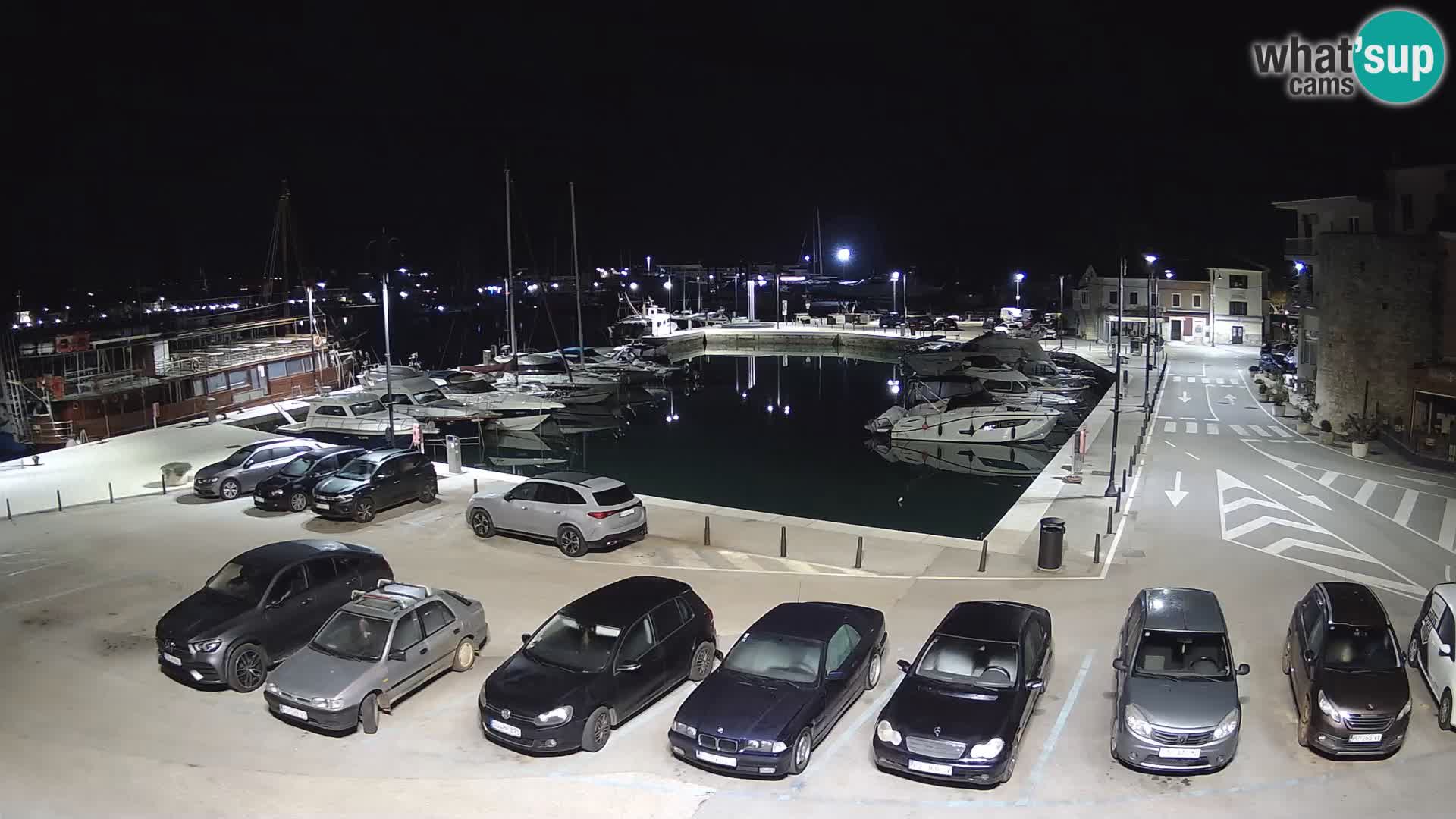 Novigrad | Porporela marina