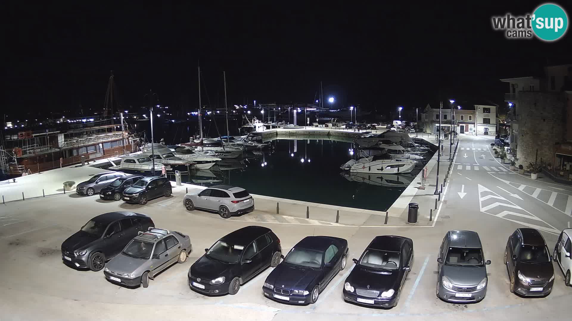 Novigrad | Porporela marina
