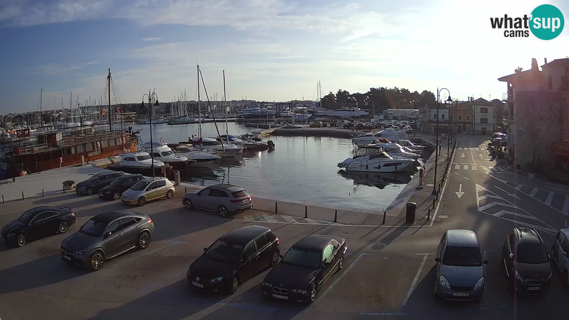 Novigrad | Porporela marina