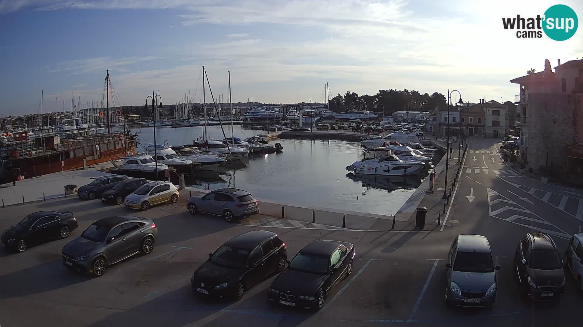 Novigrad | Porporela marina