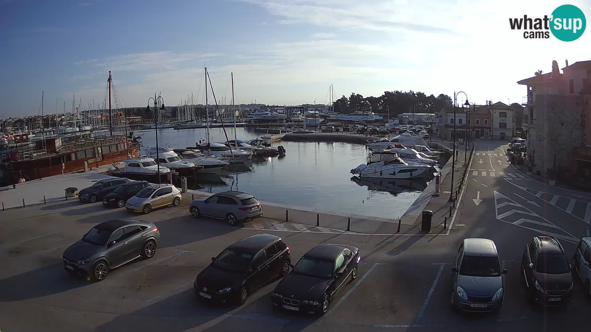 Novigrad | Porporela marina