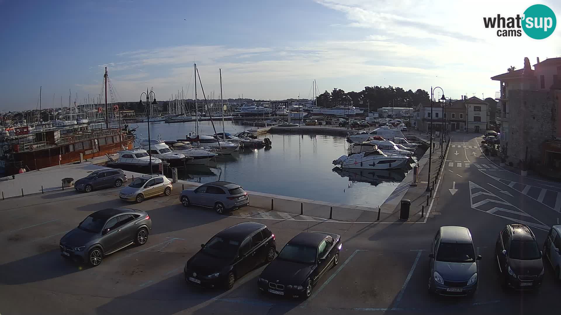 Novigrad | Porporela marina