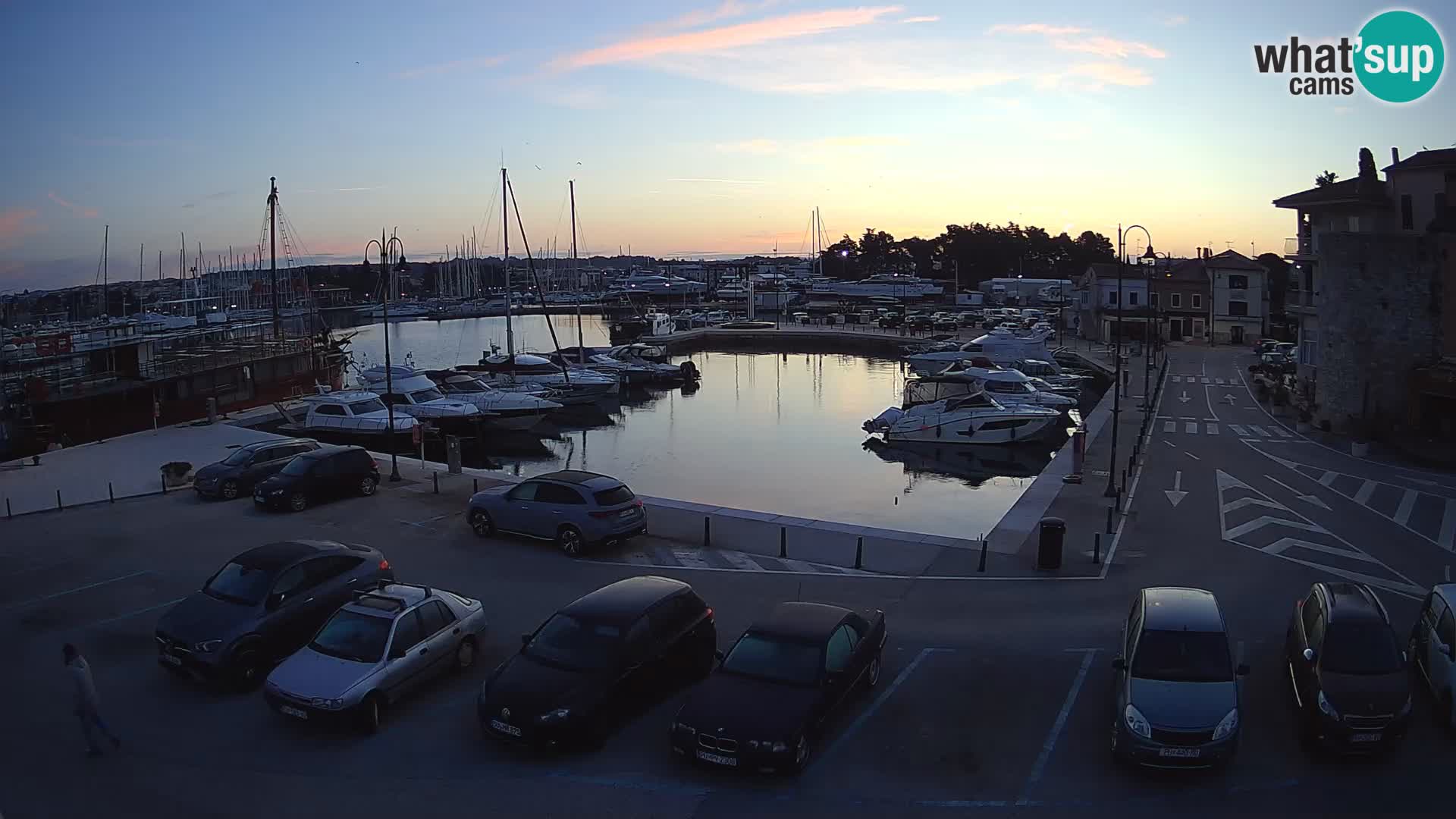 Novigrad | Porporela marina