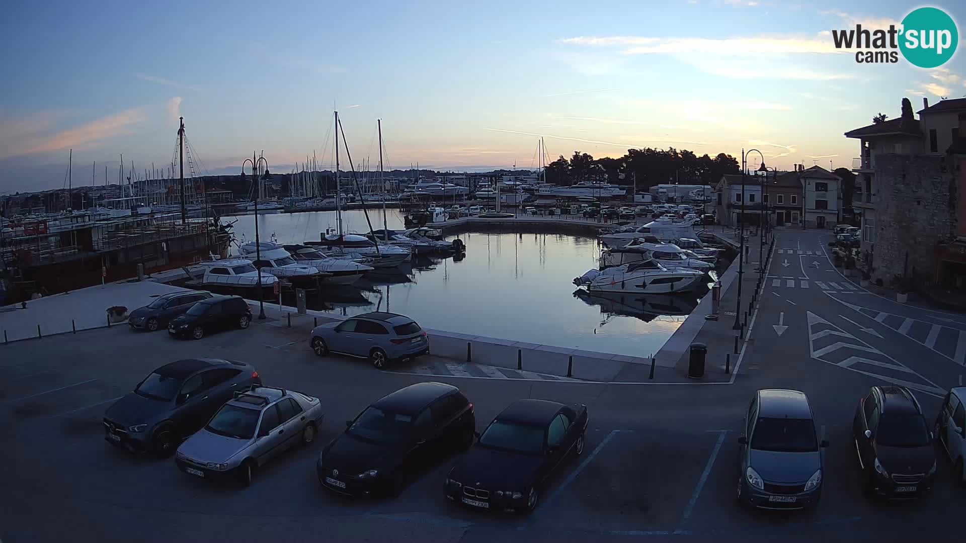 Novigrad | Porporela marina