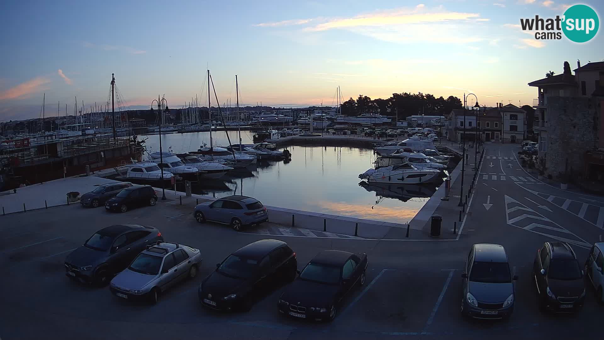 Novigrad | Porporela marina