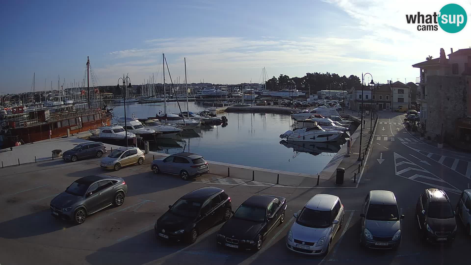 Novigrad | Porporela marina