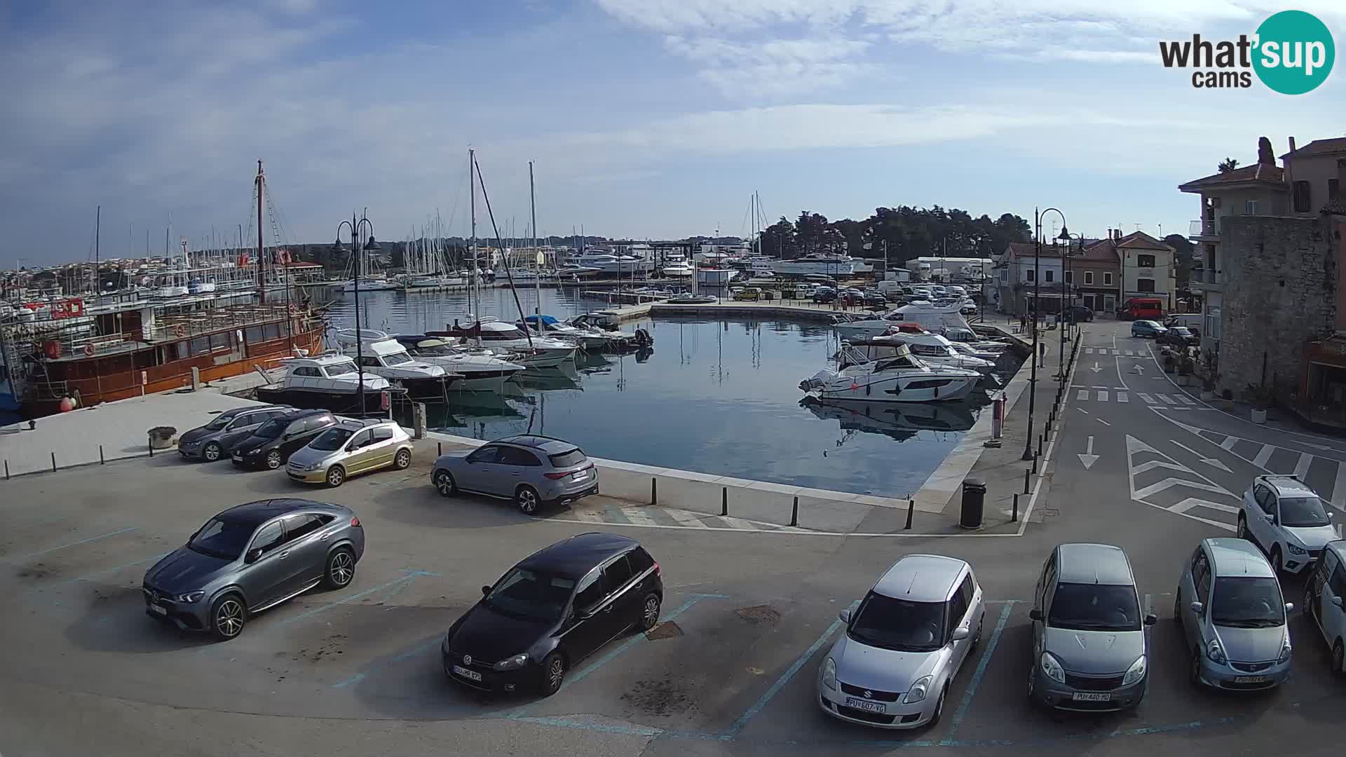 Novigrad | Porporela marina