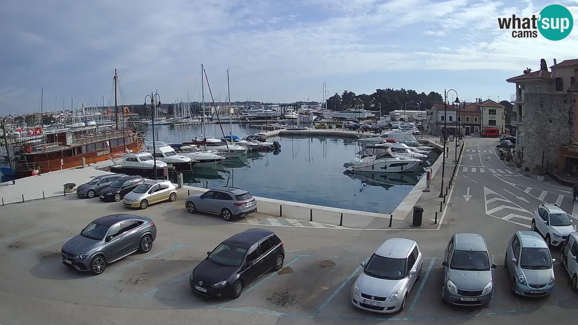 Novigrad | Porporela marina