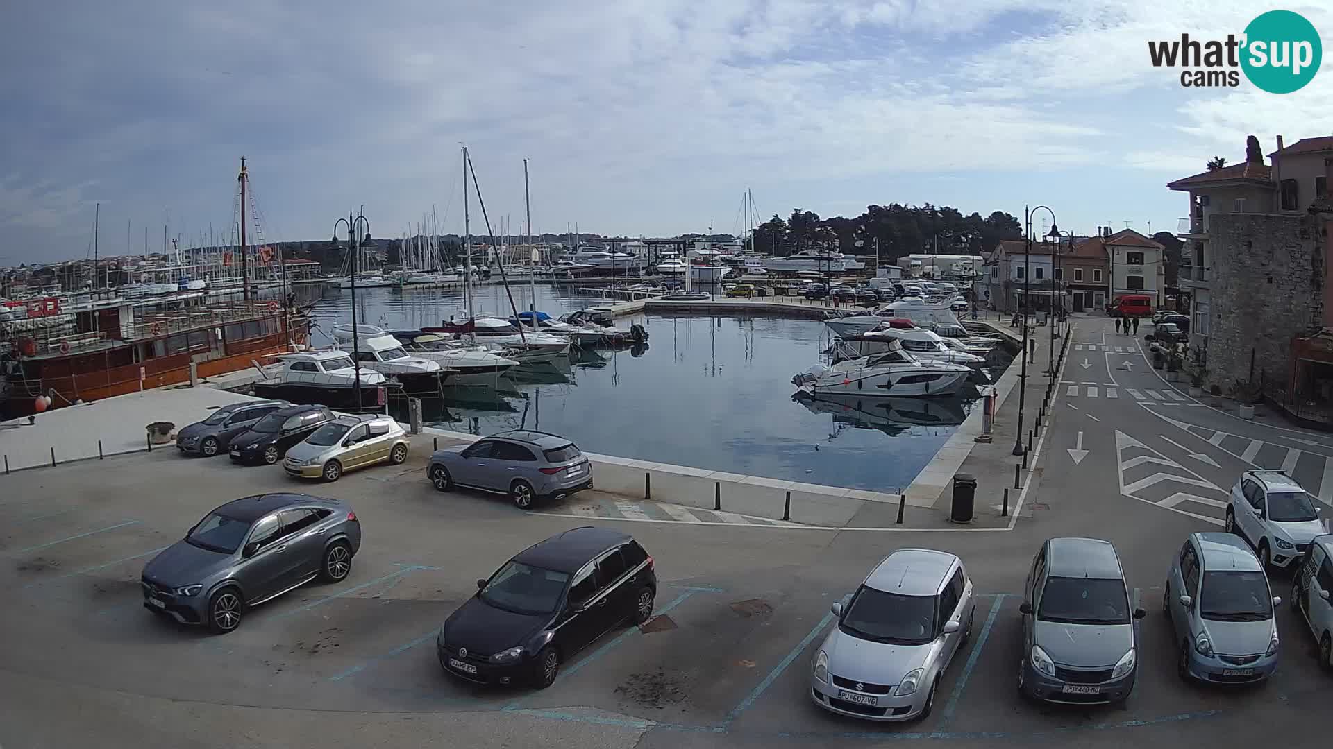 Novigrad | Porporela marina