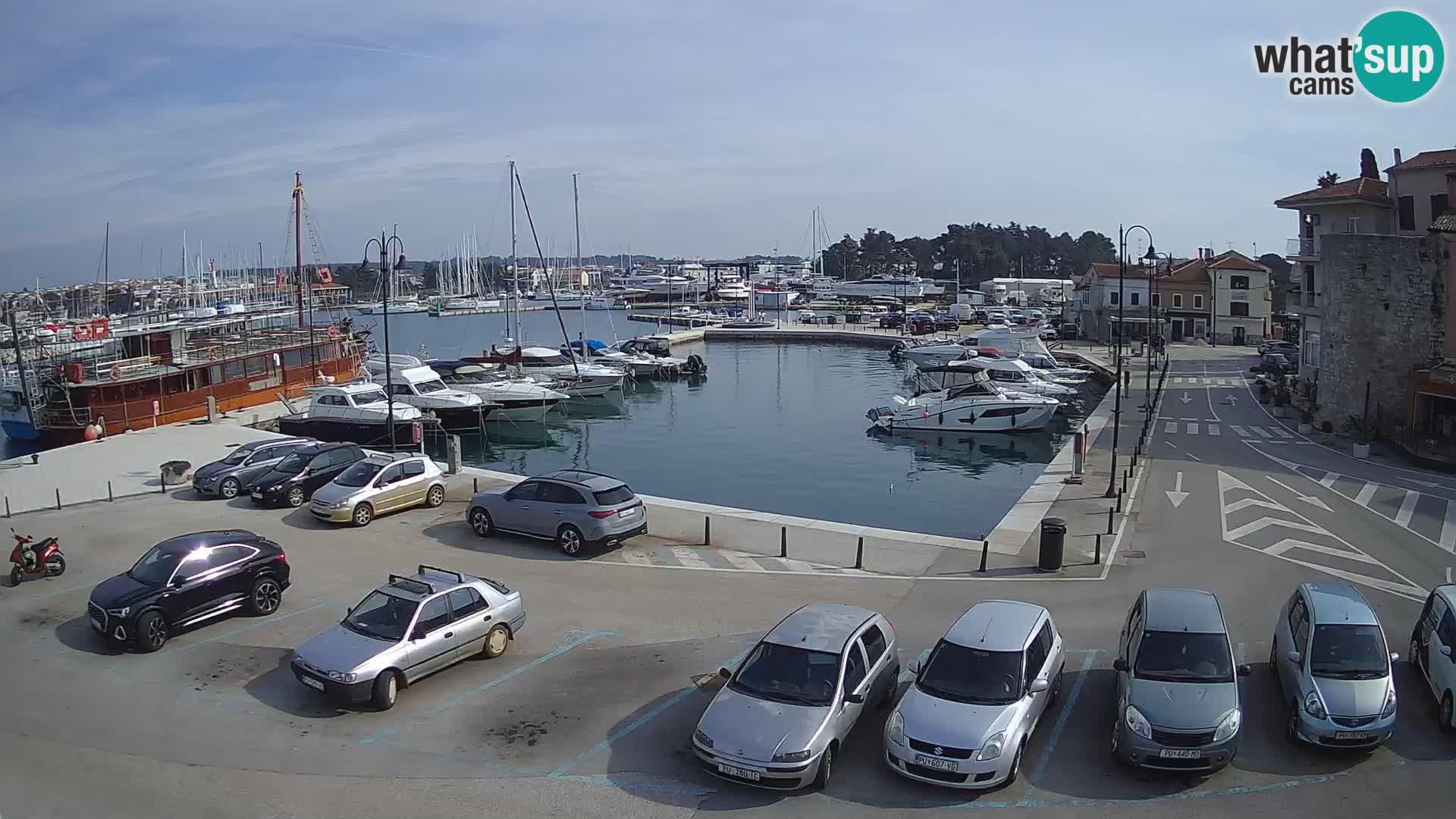 Novigrad | Porporela marina