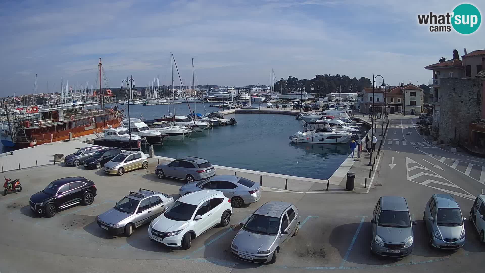Novigrad | Porporela marina