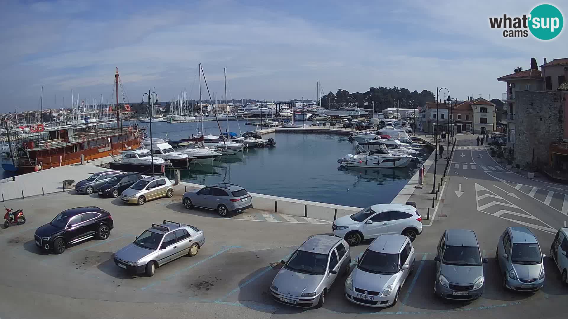 Novigrad | Porporela marina