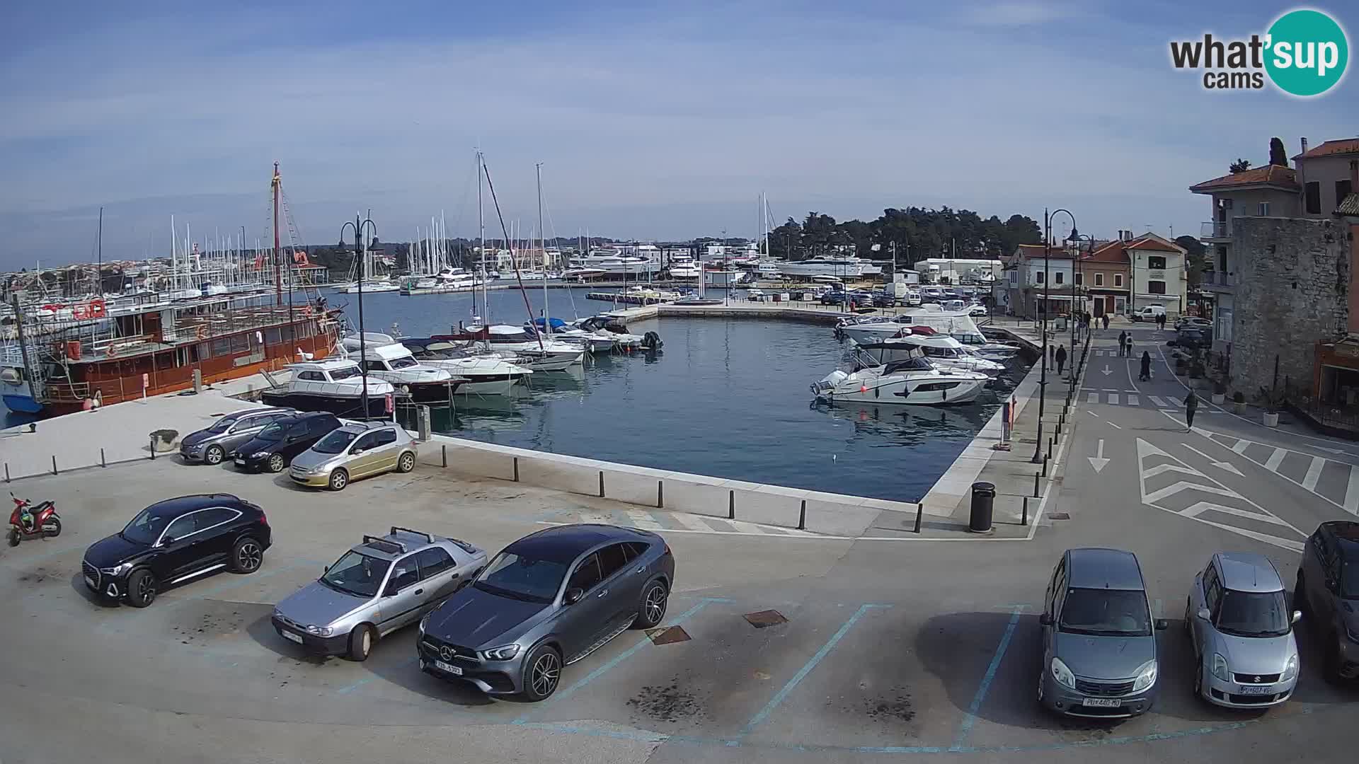 Novigrad | Porporela marina