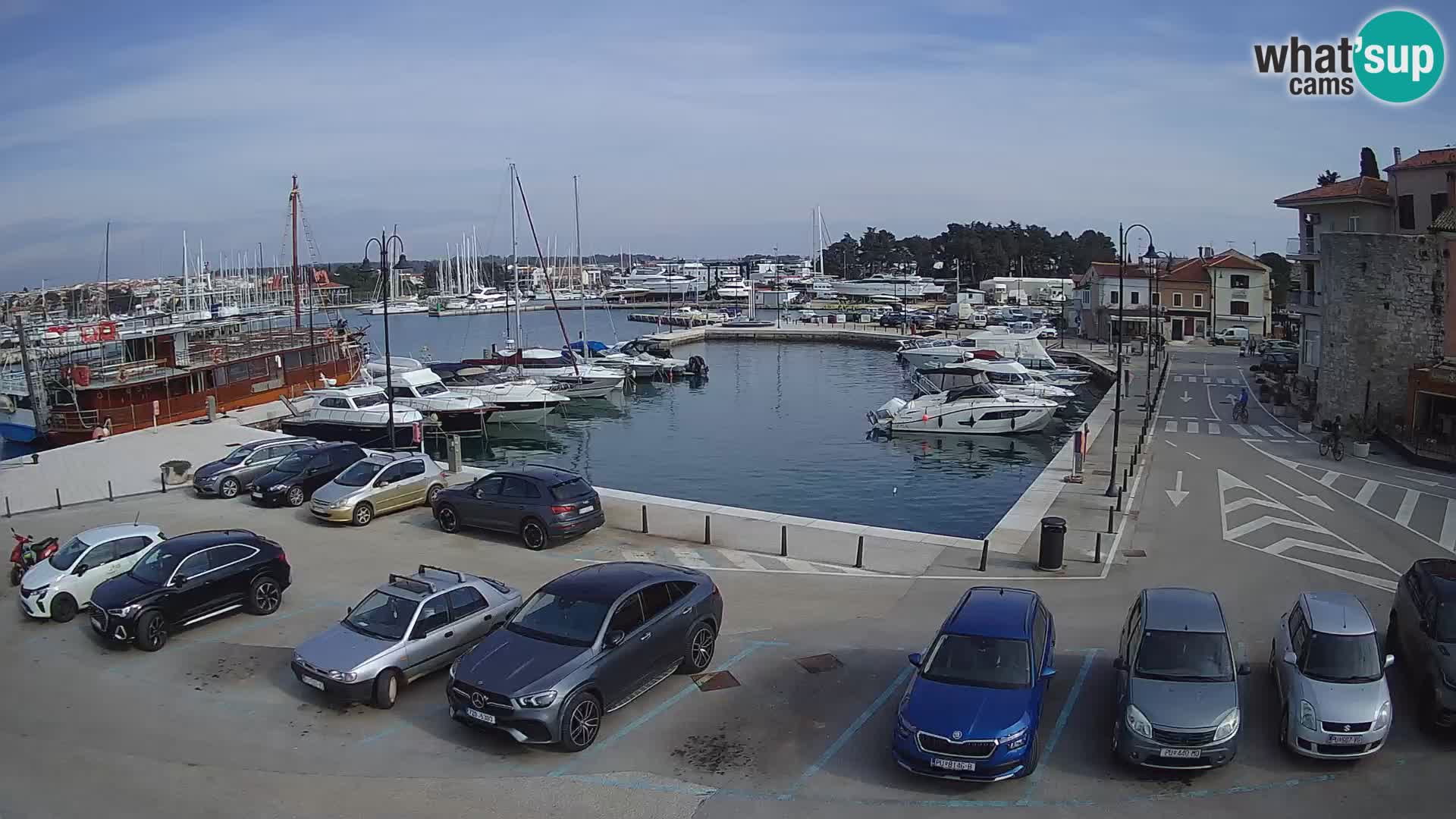 Novigrad | Porporela marina