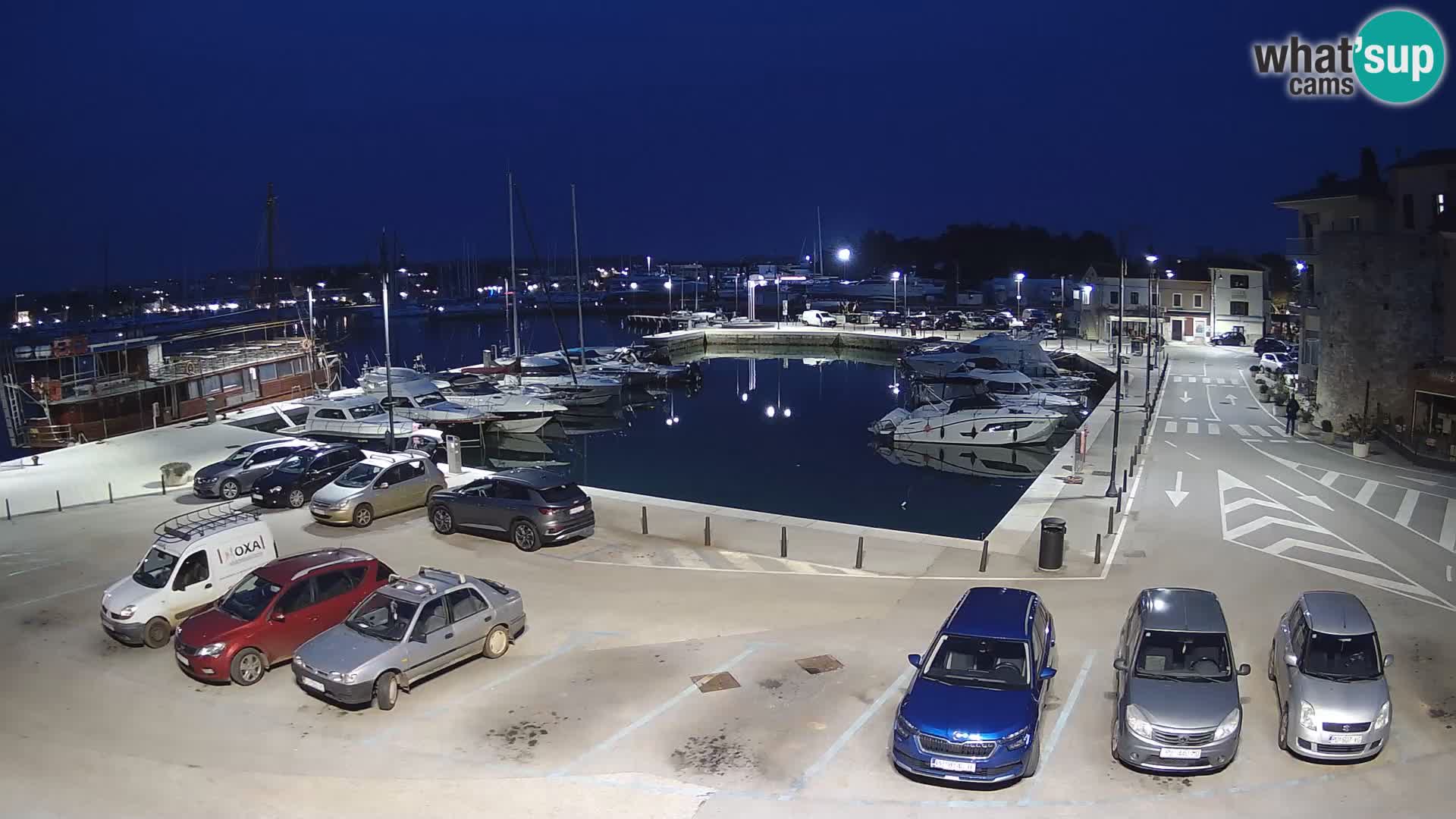 Novigrad | Porporela marina