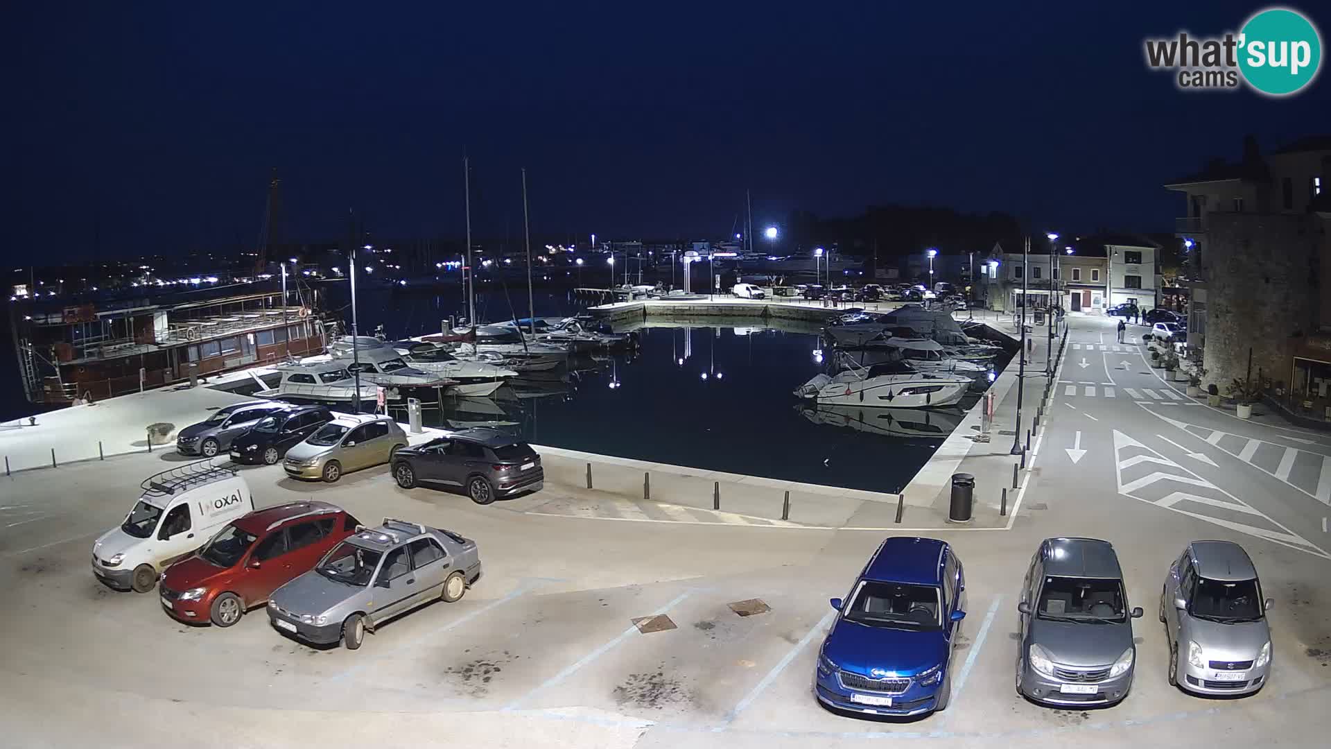 Novigrad | Porporela marina