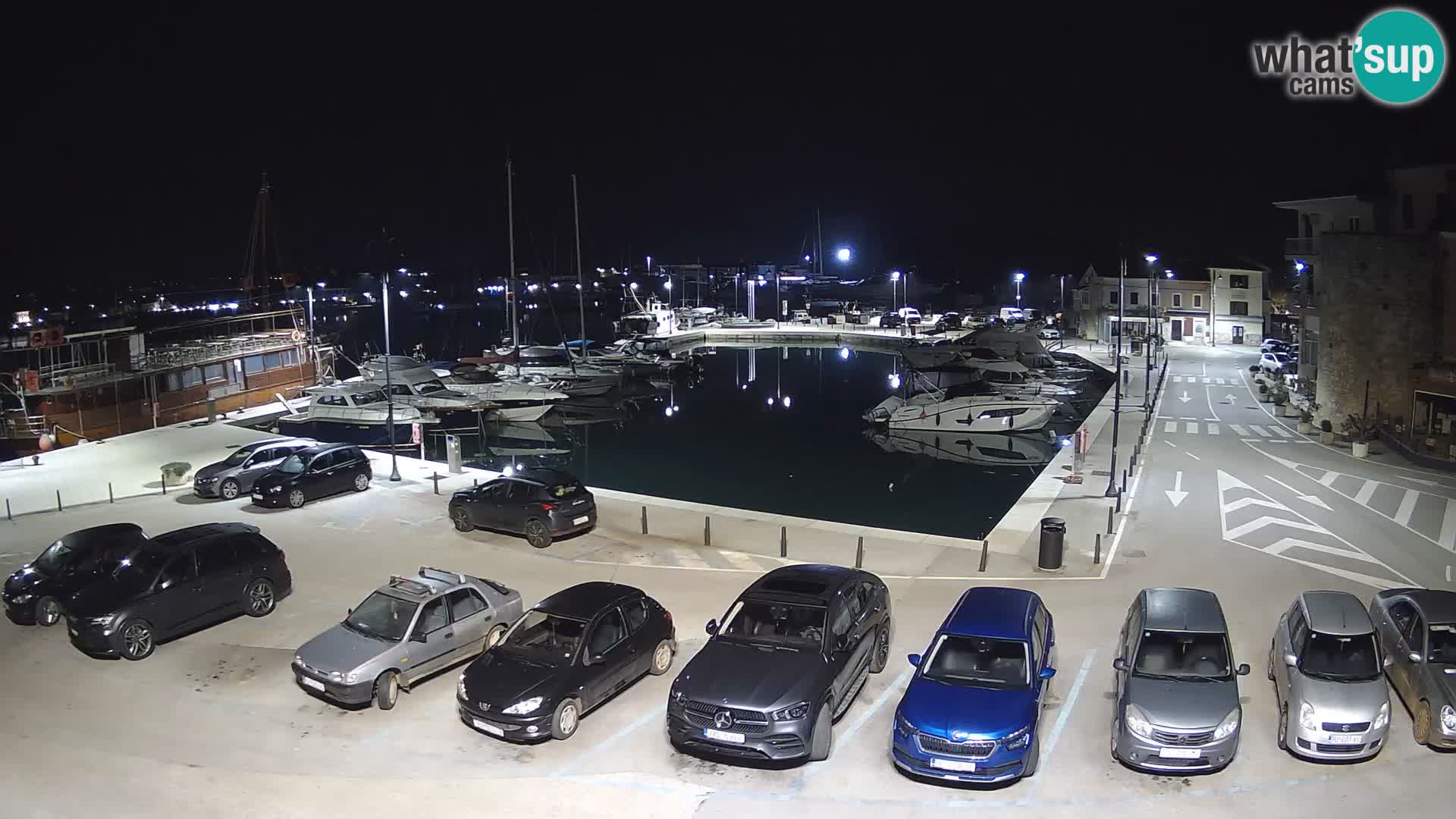 Novigrad | Porporela marina