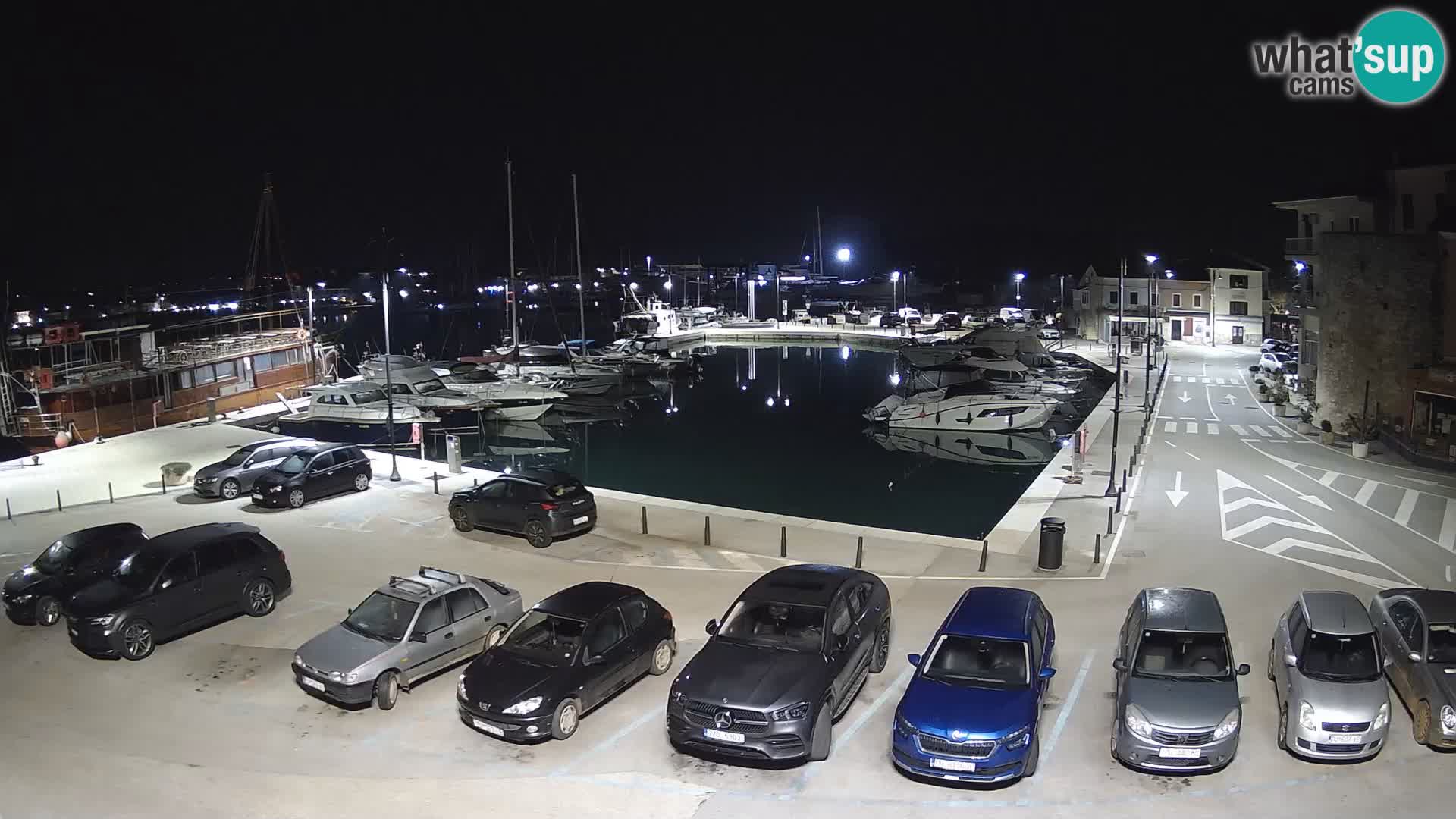 Novigrad | Porporela marina