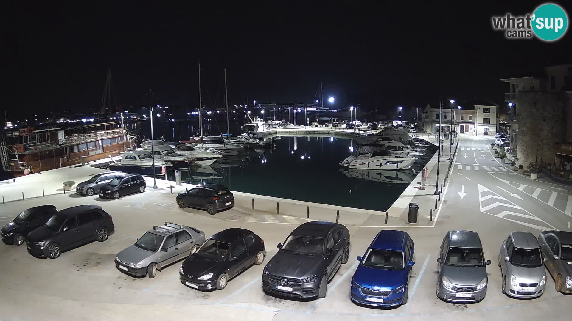 Novigrad | Porporela marina