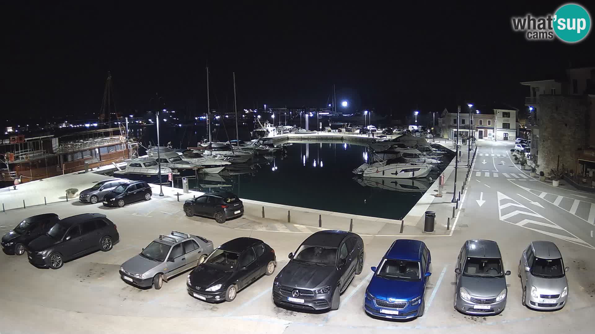 Novigrad | Porporela marina