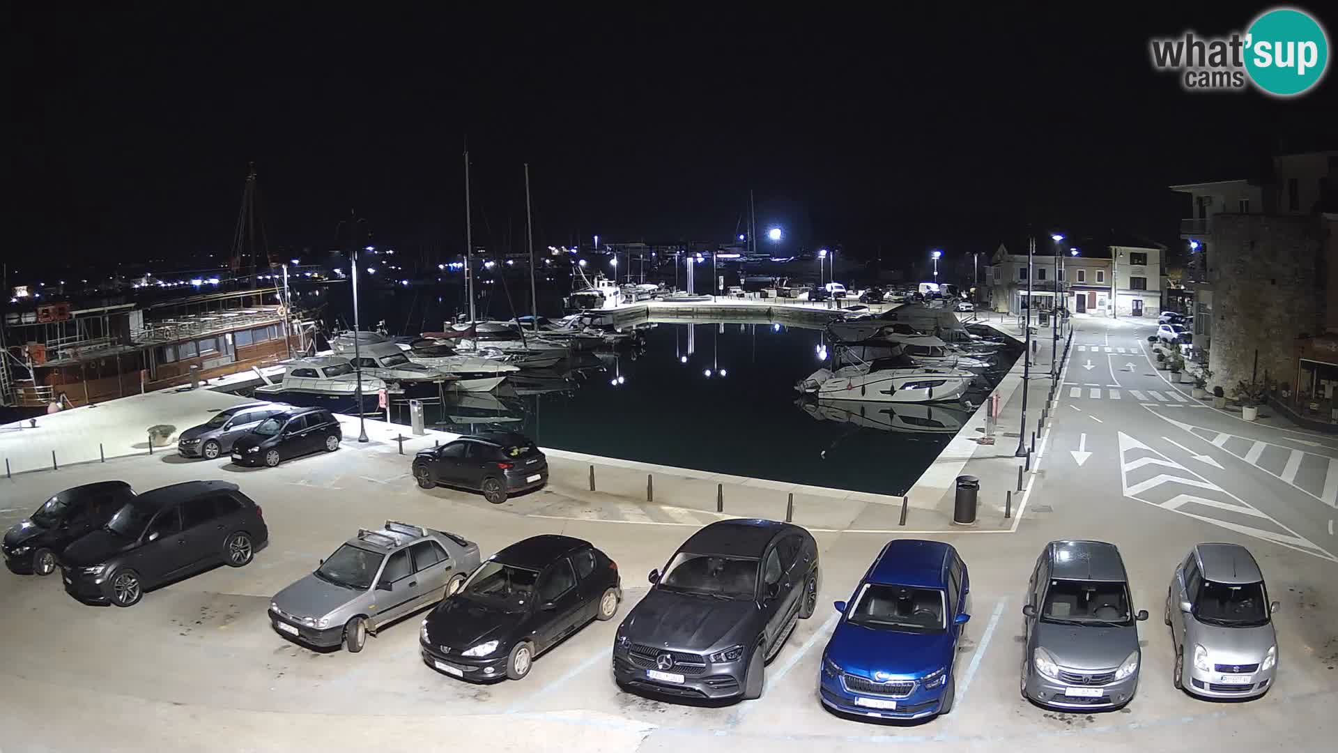 Novigrad | Porporela marina