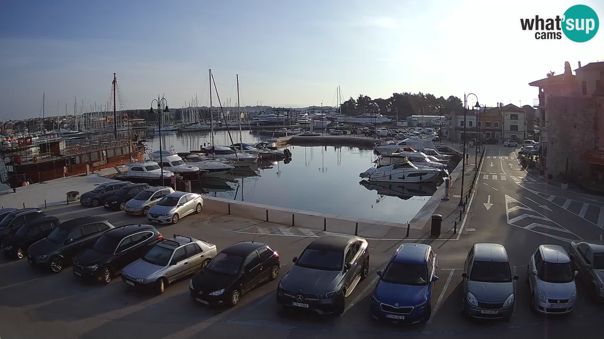 Novigrad | Porporela marina