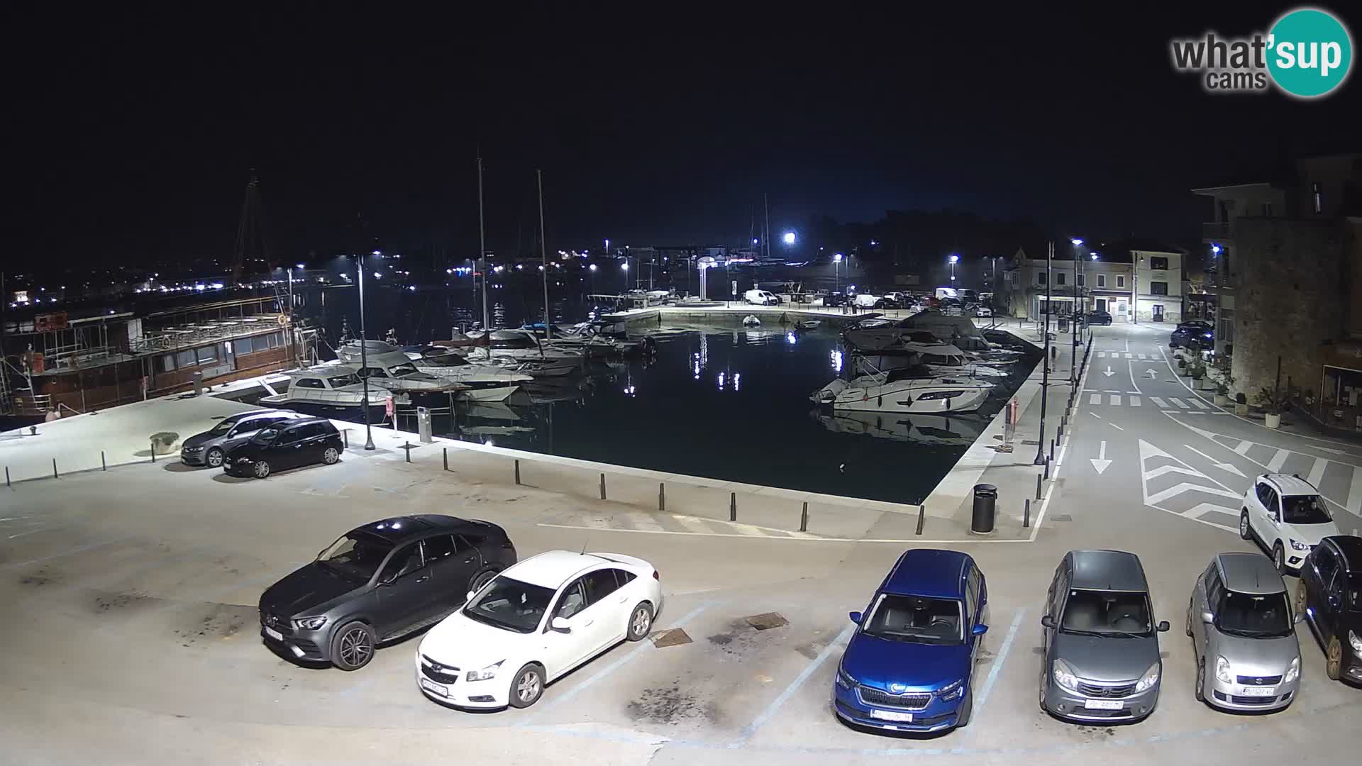 Novigrad | Porporela marina
