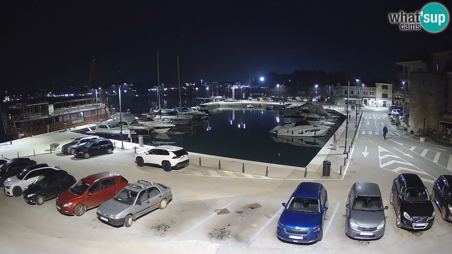 Novigrad | Porporela marina
