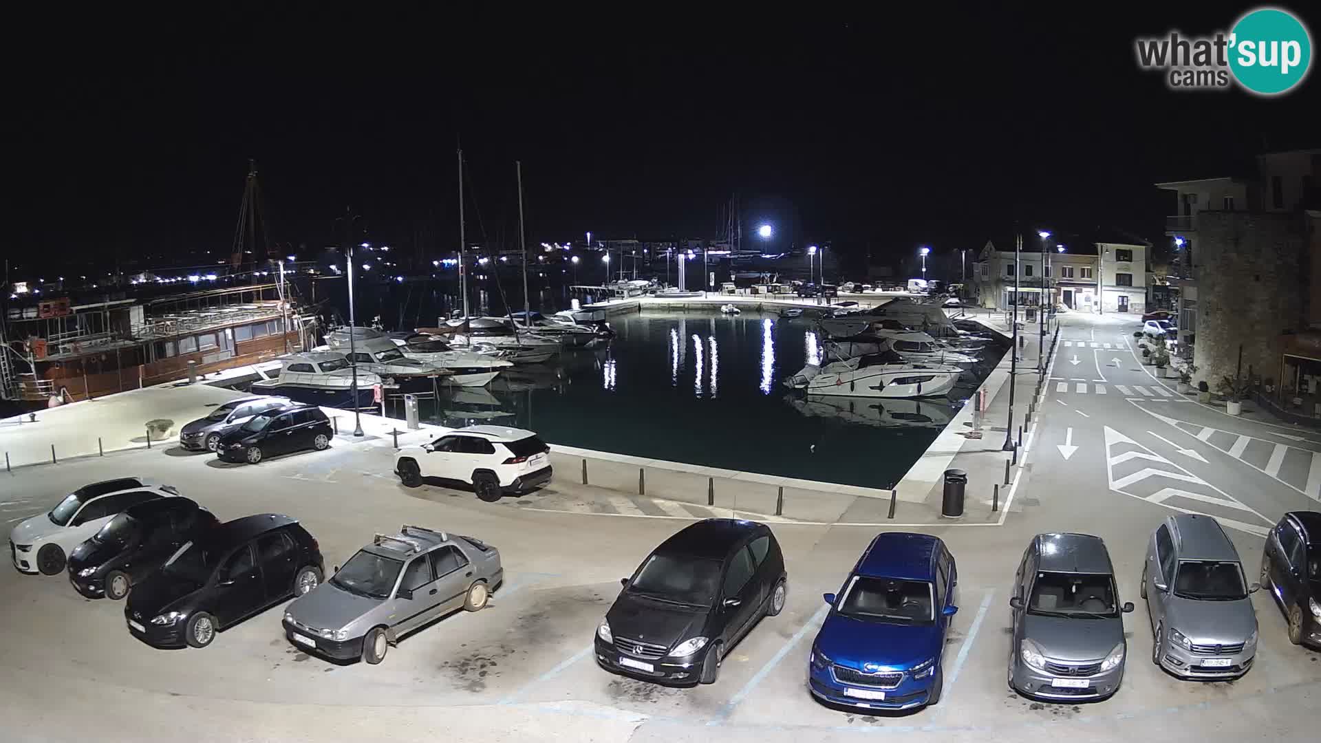 Novigrad | Porporela marina