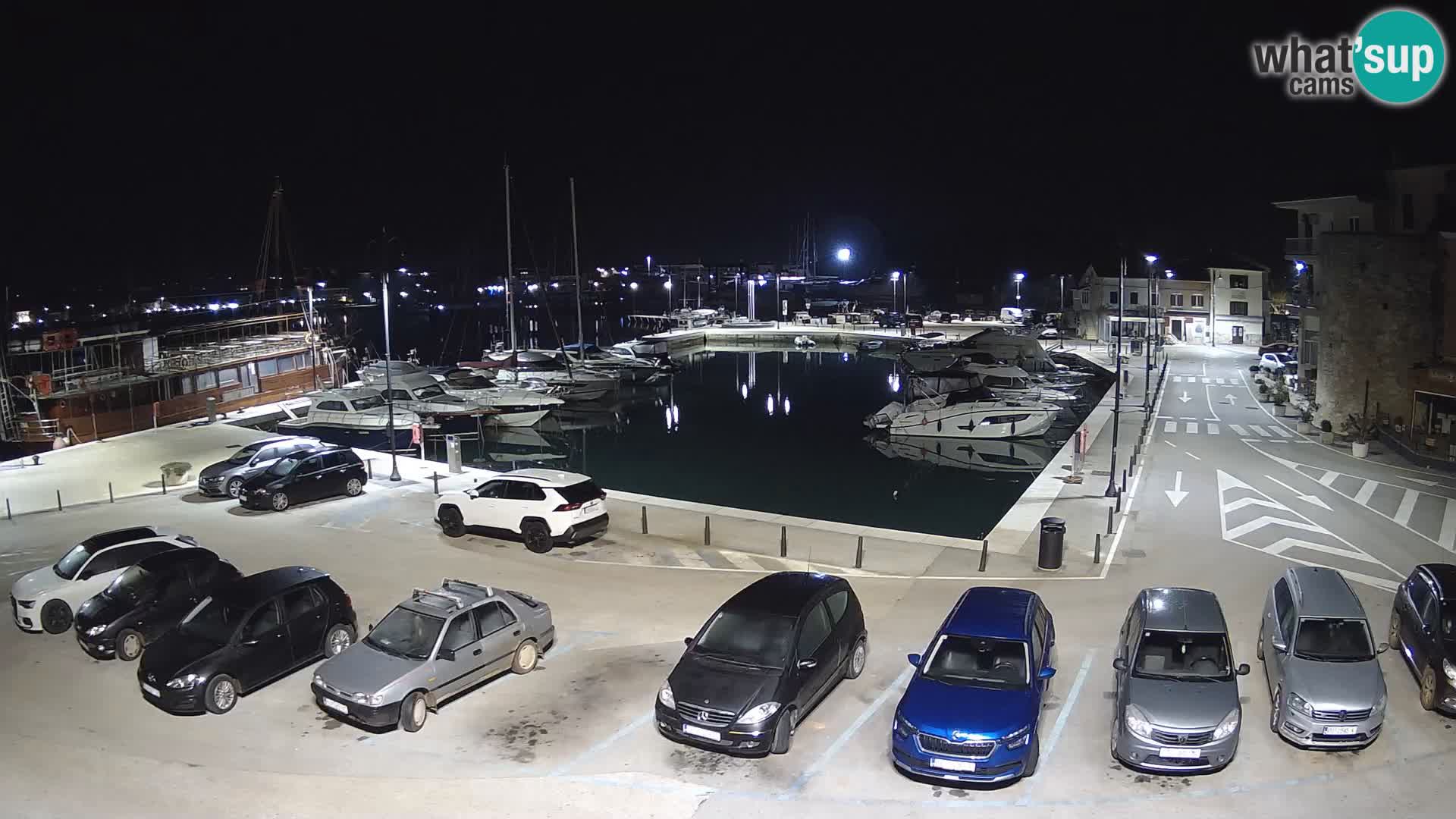 Novigrad | Porporela marina