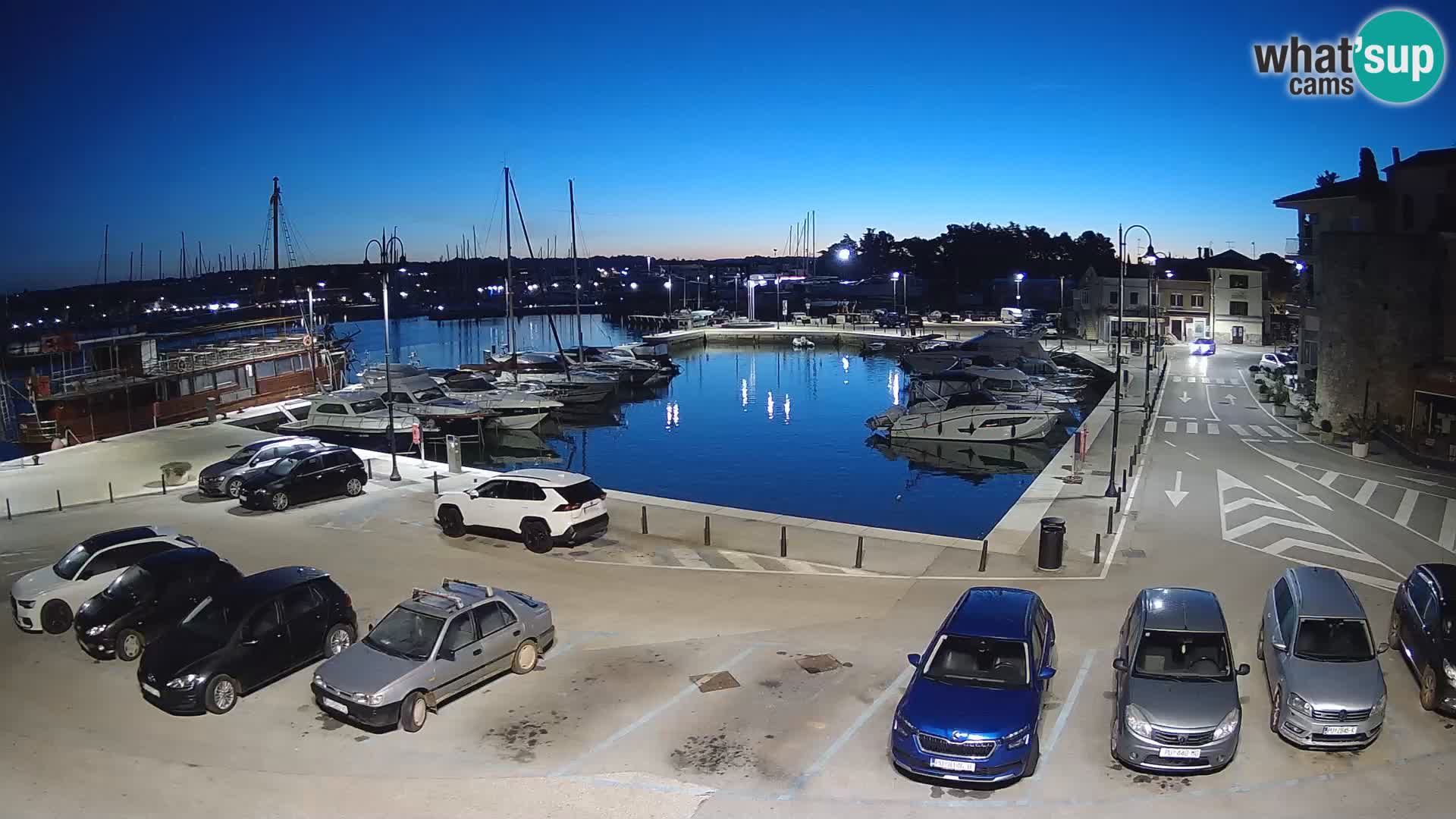 Novigrad | Porporela marina