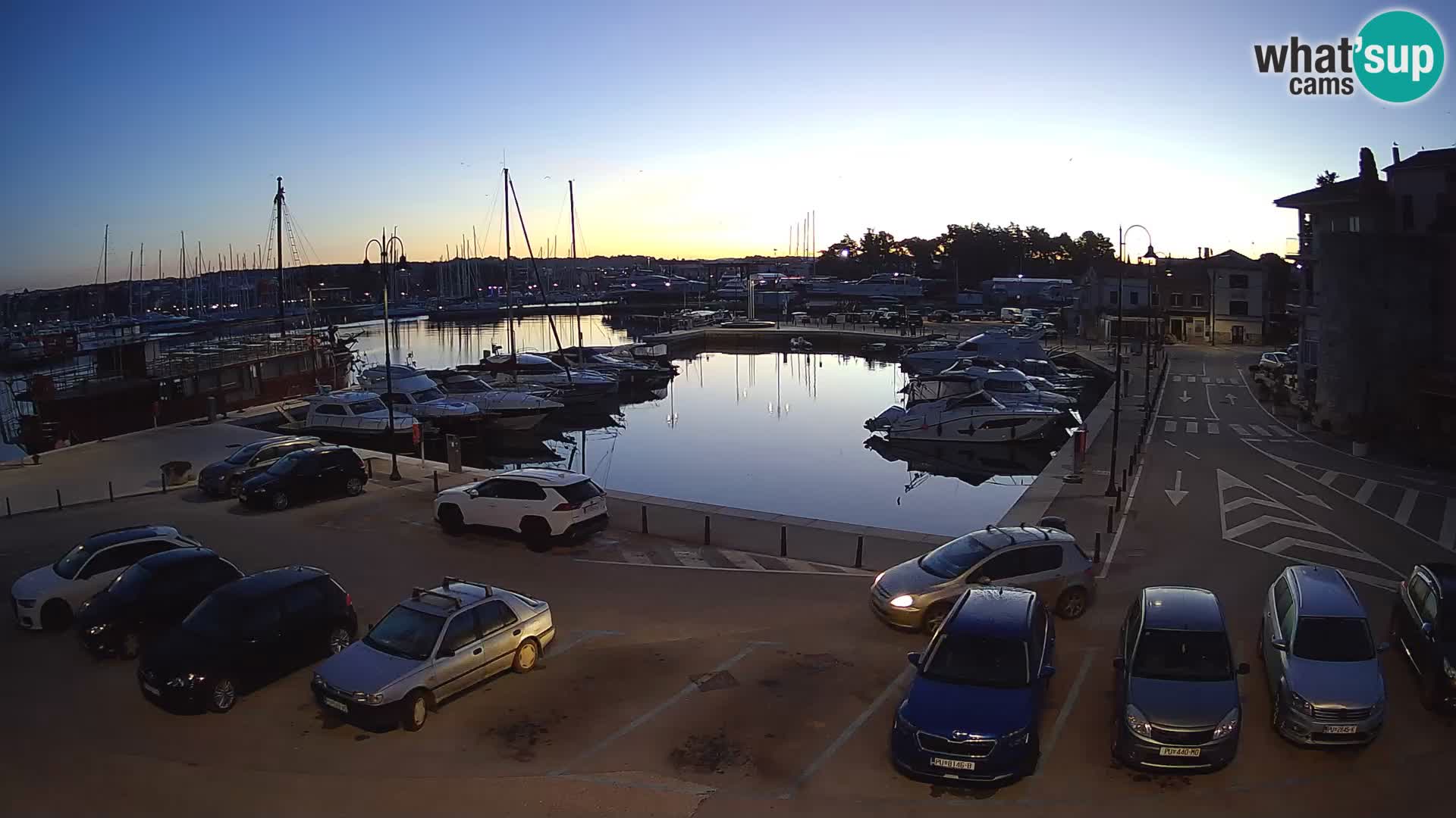 Novigrad | Porporela marina