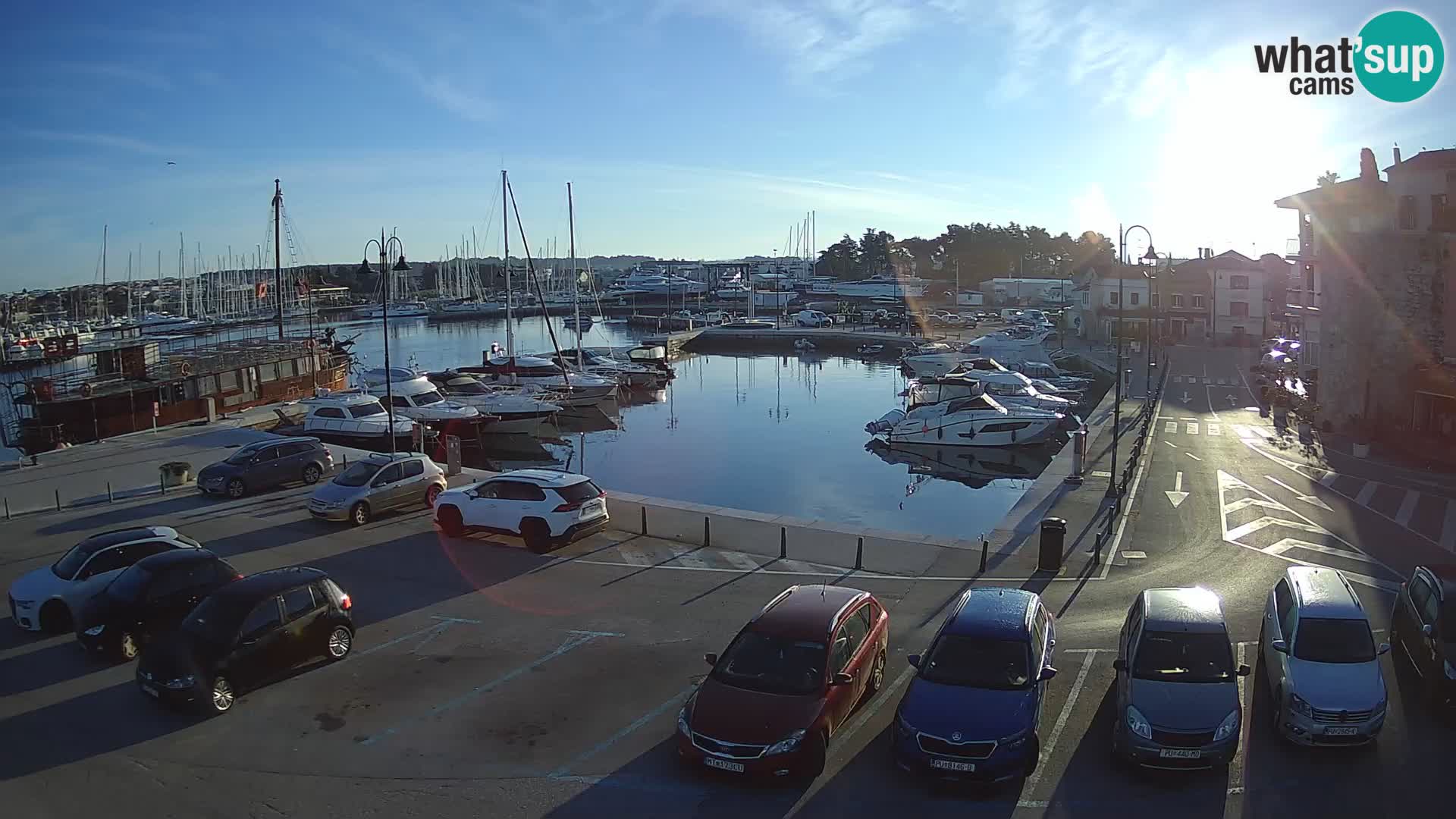 Novigrad | Porporela marina