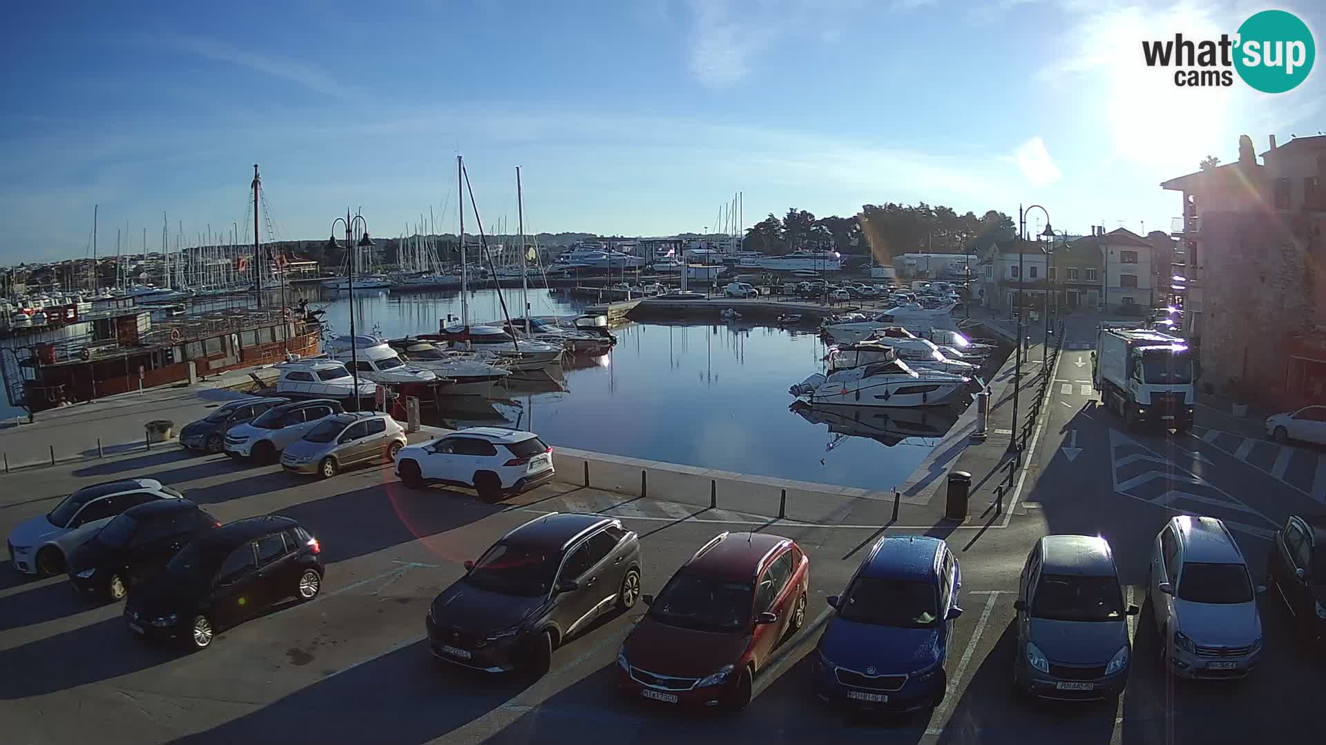 Novigrad | Porporela marina