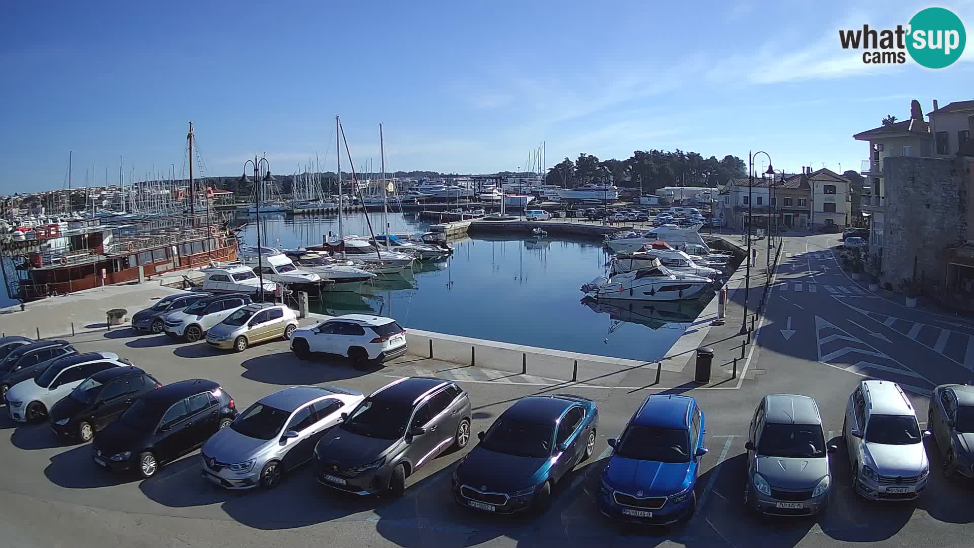 Novigrad | Porporela marina