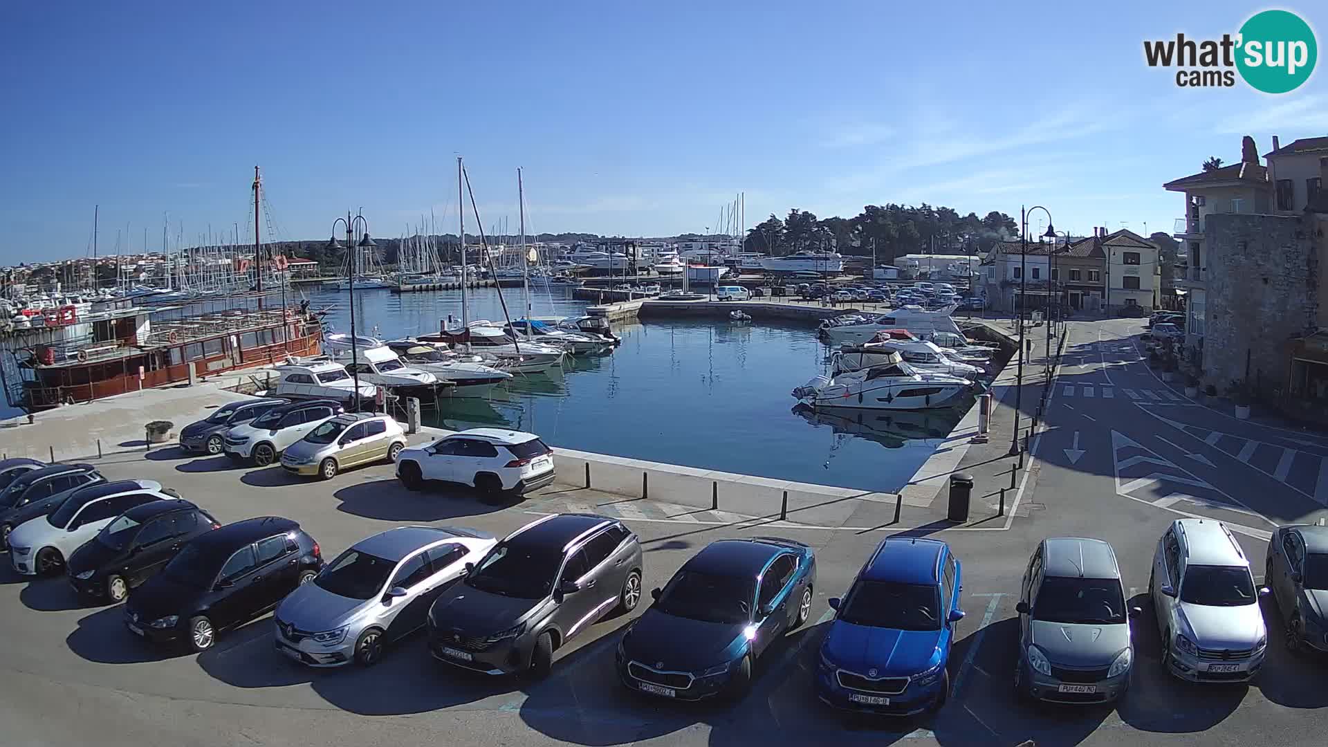 Novigrad | Porporela marina